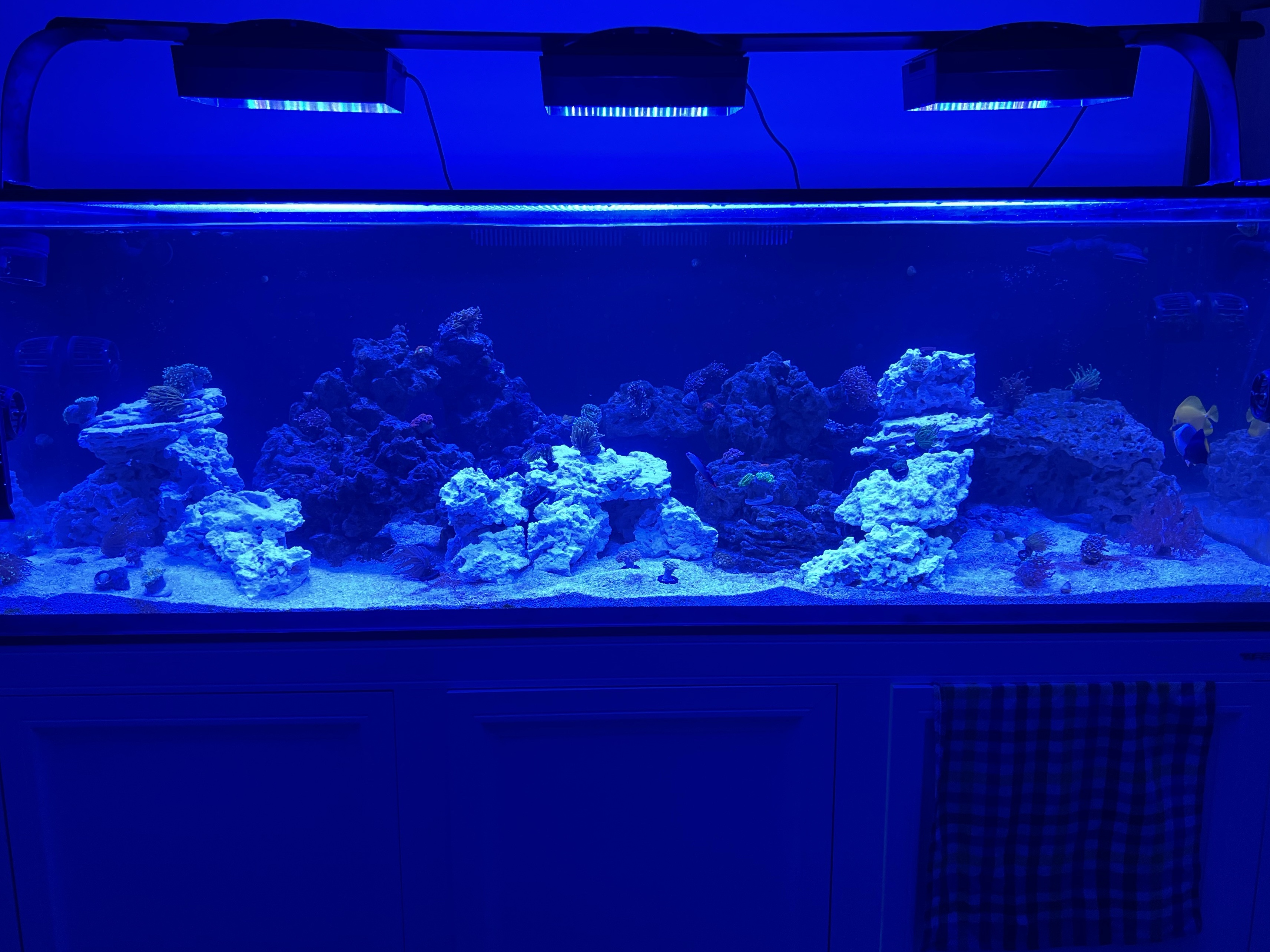 Tank Image