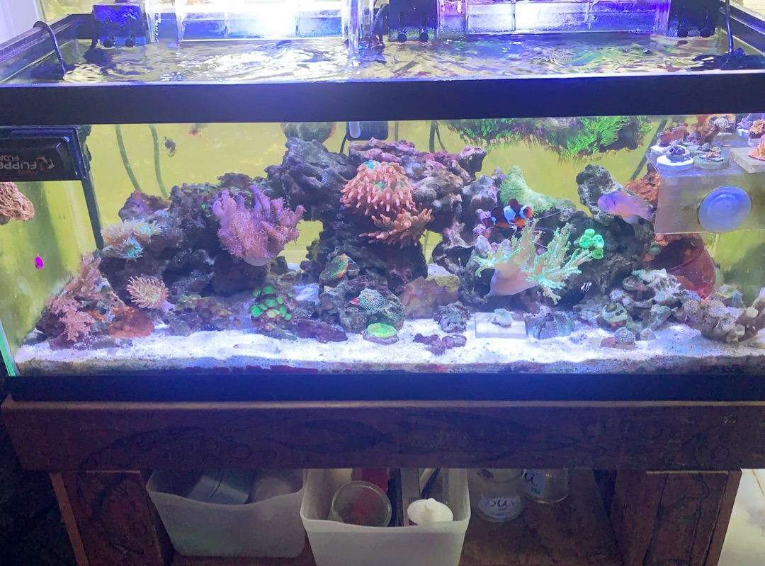 Tank Image