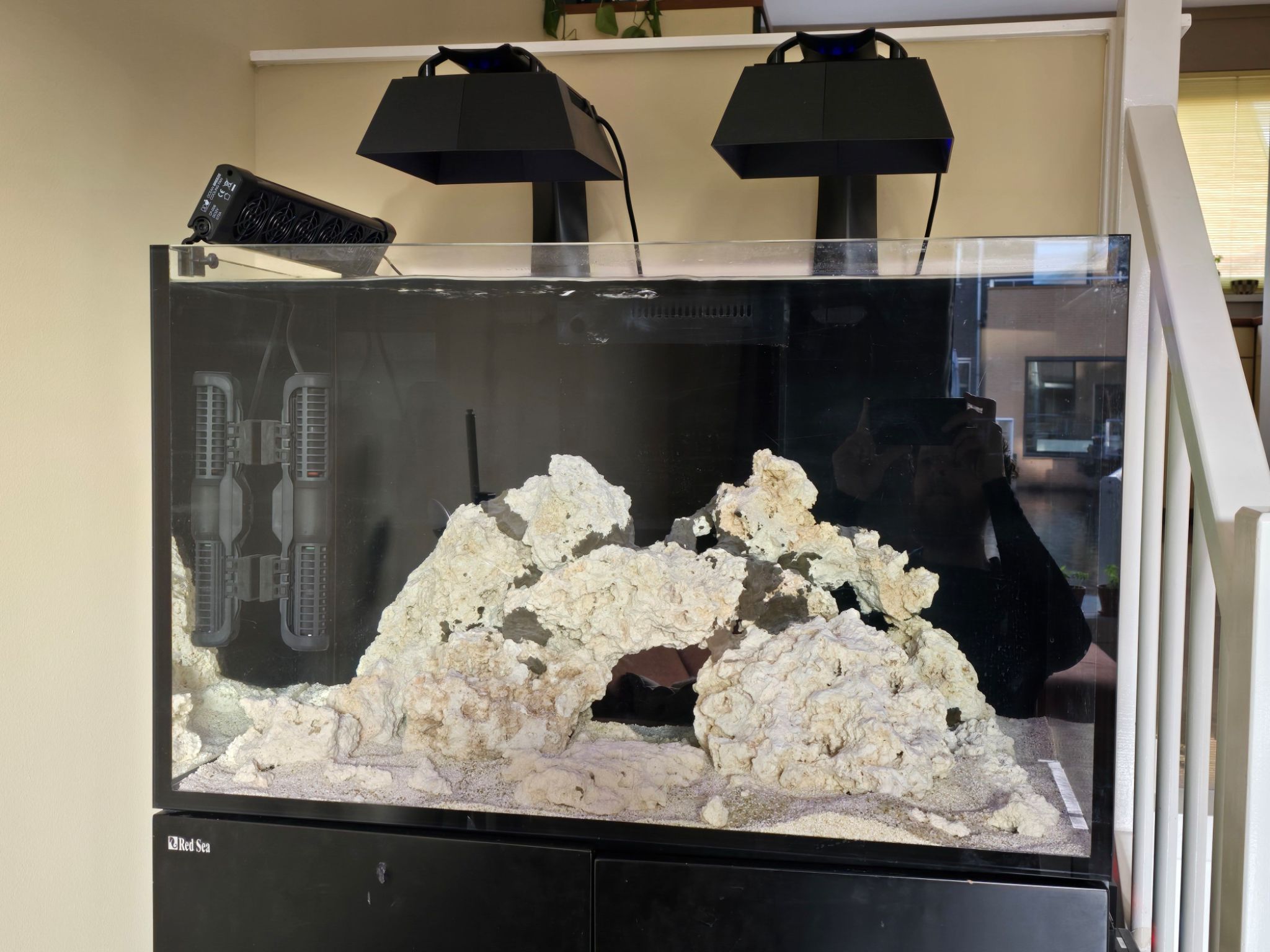 Started my very first tank this year (february '26). It has always bee...