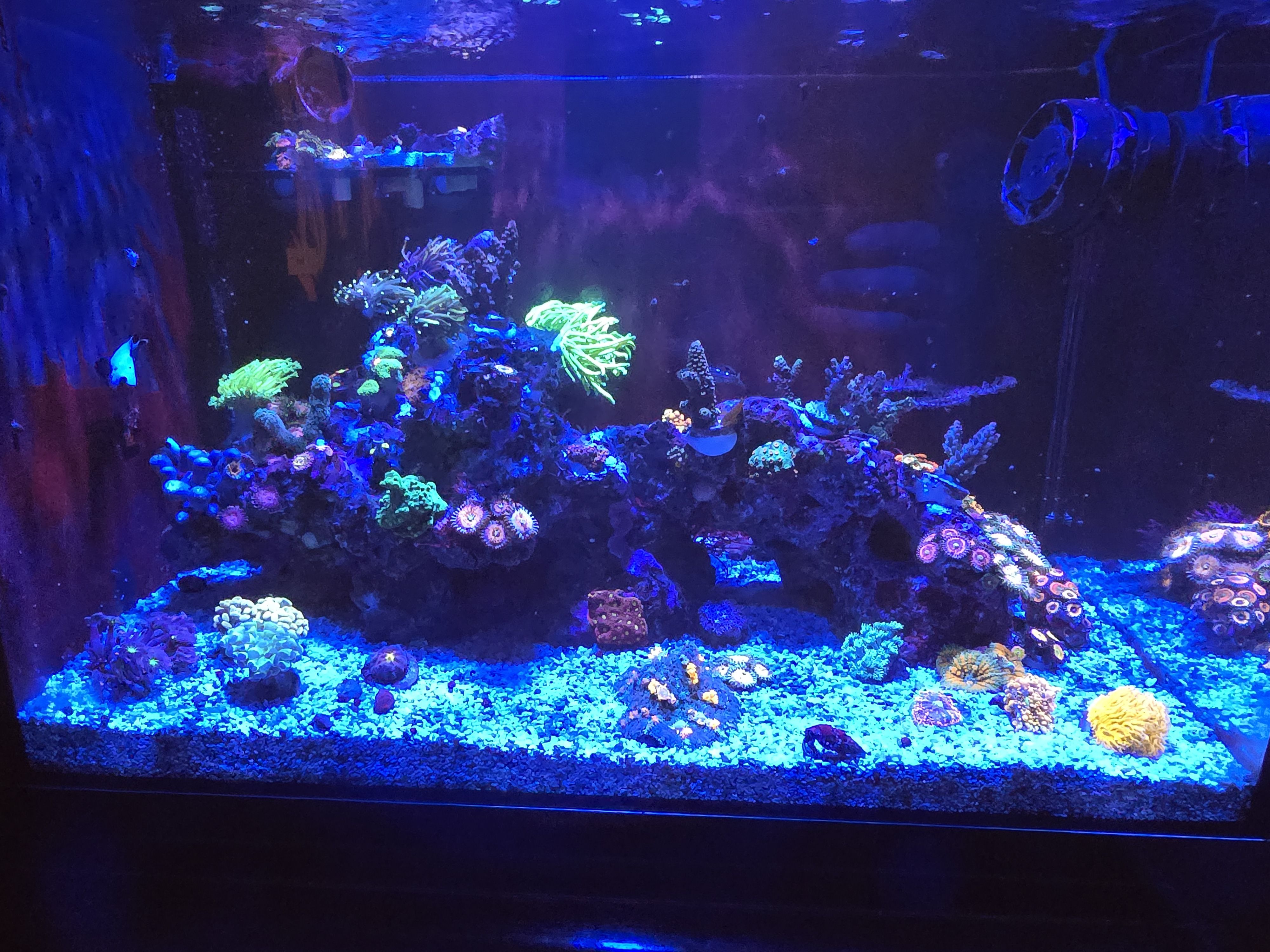 Tank Image