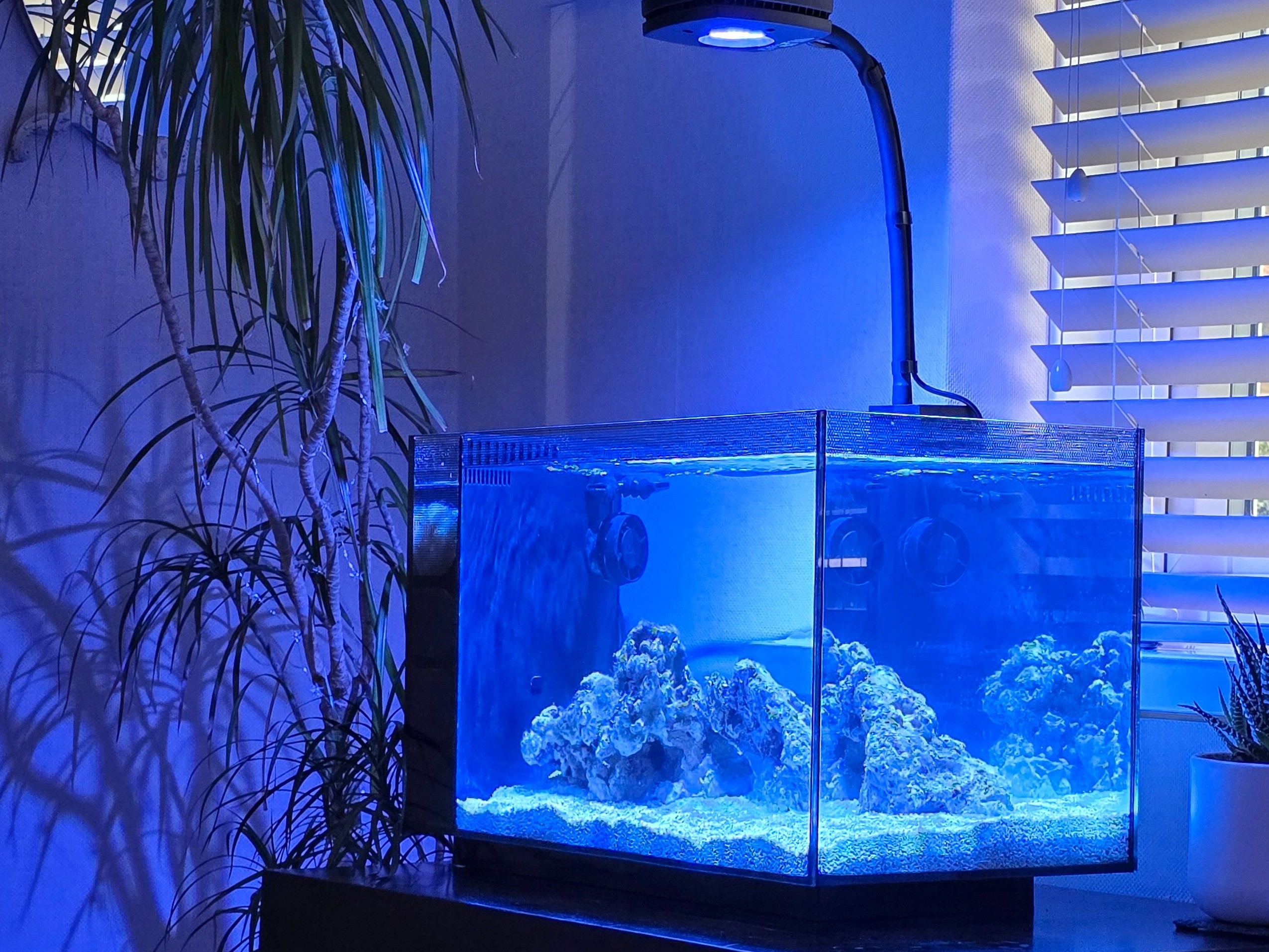 Tank Image