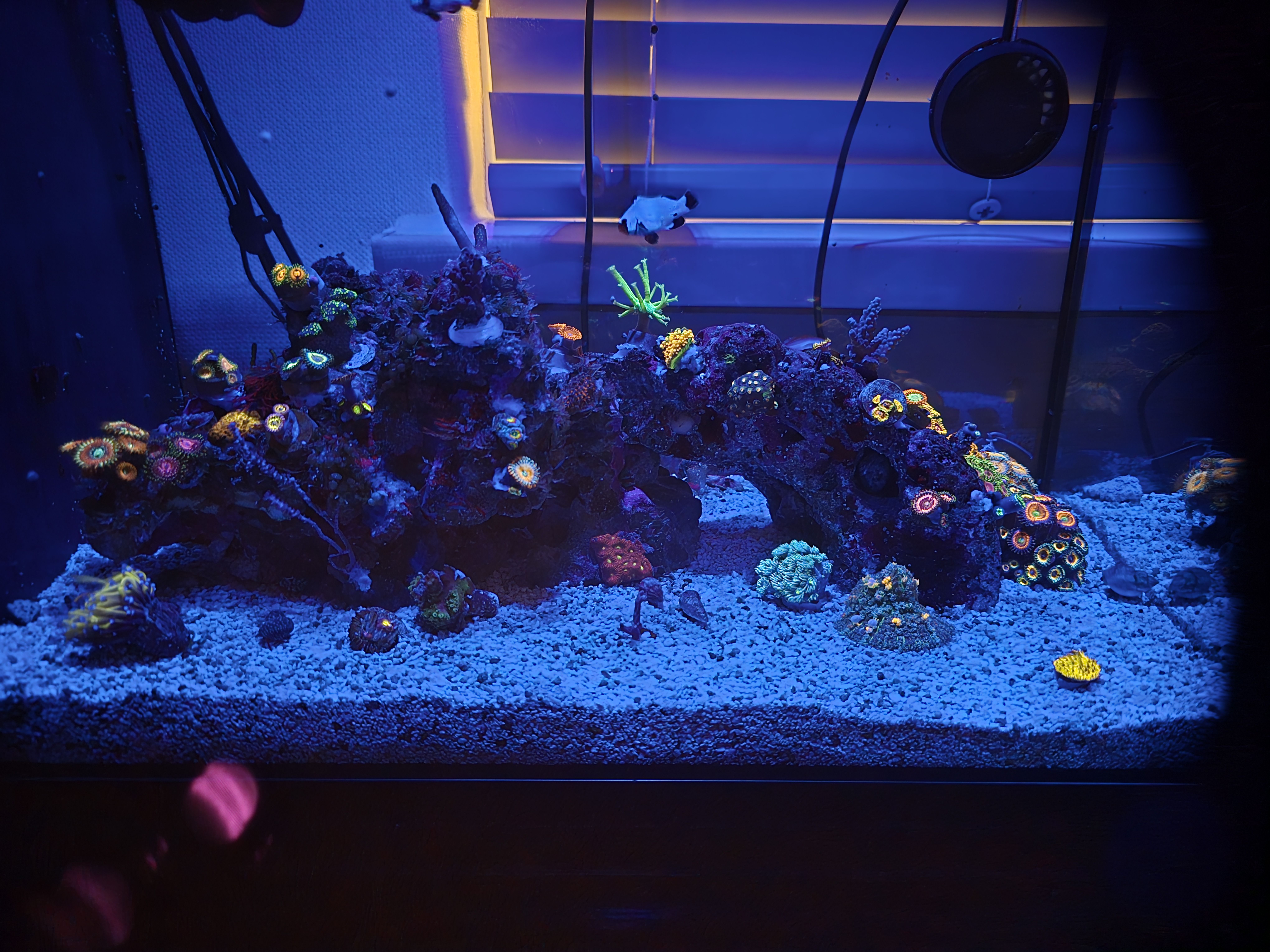 Tank Image