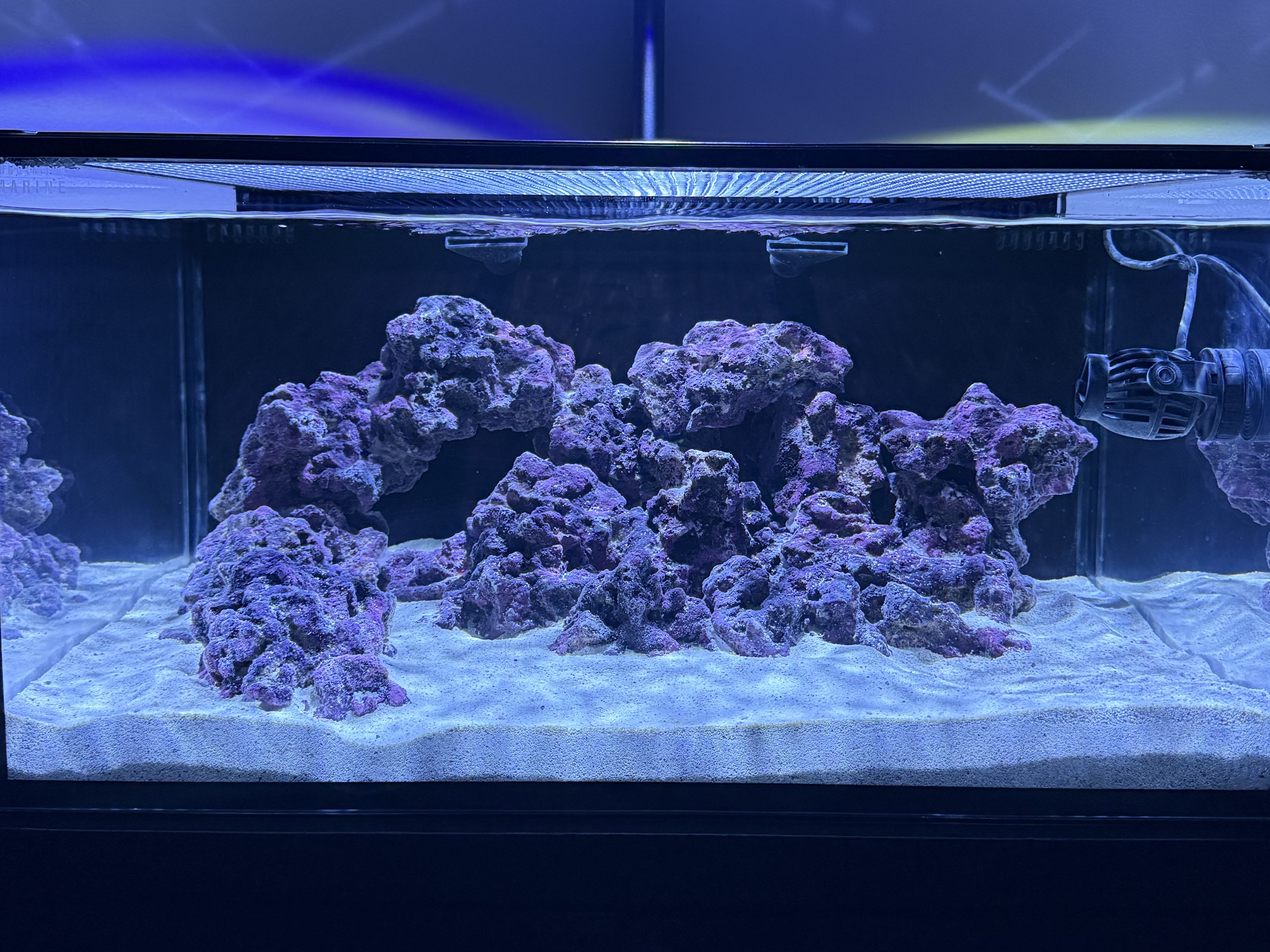 Tank Image