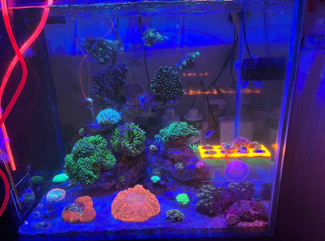 Tank Image