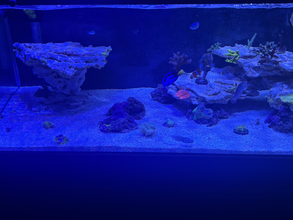 Tank Image