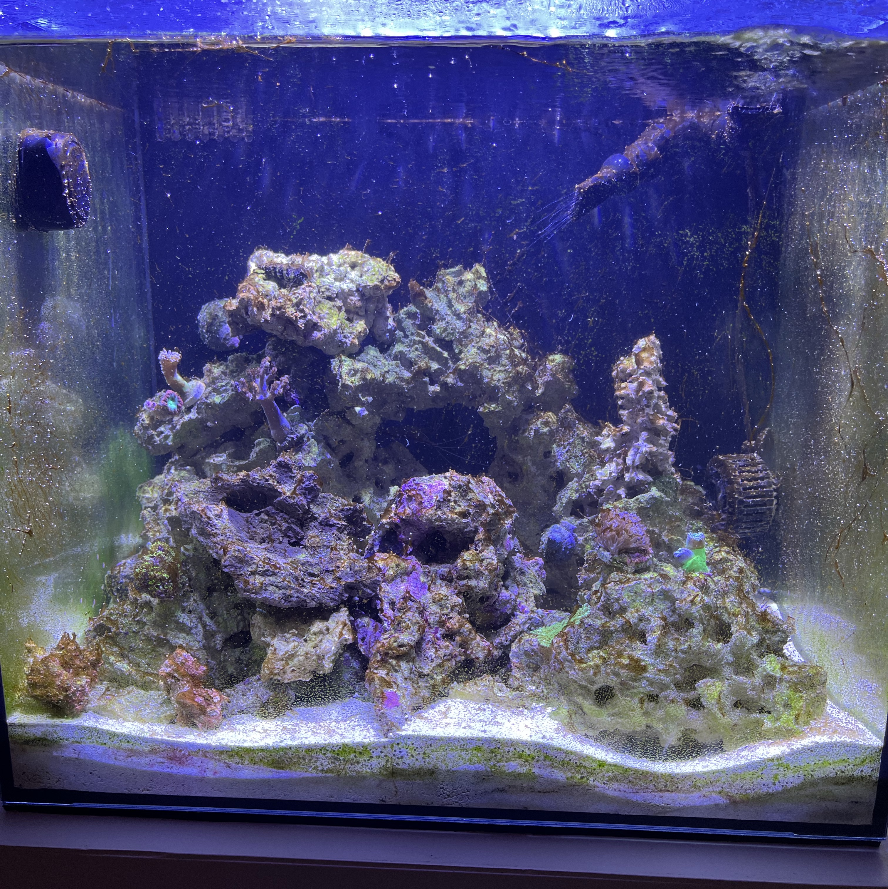 Tank Image