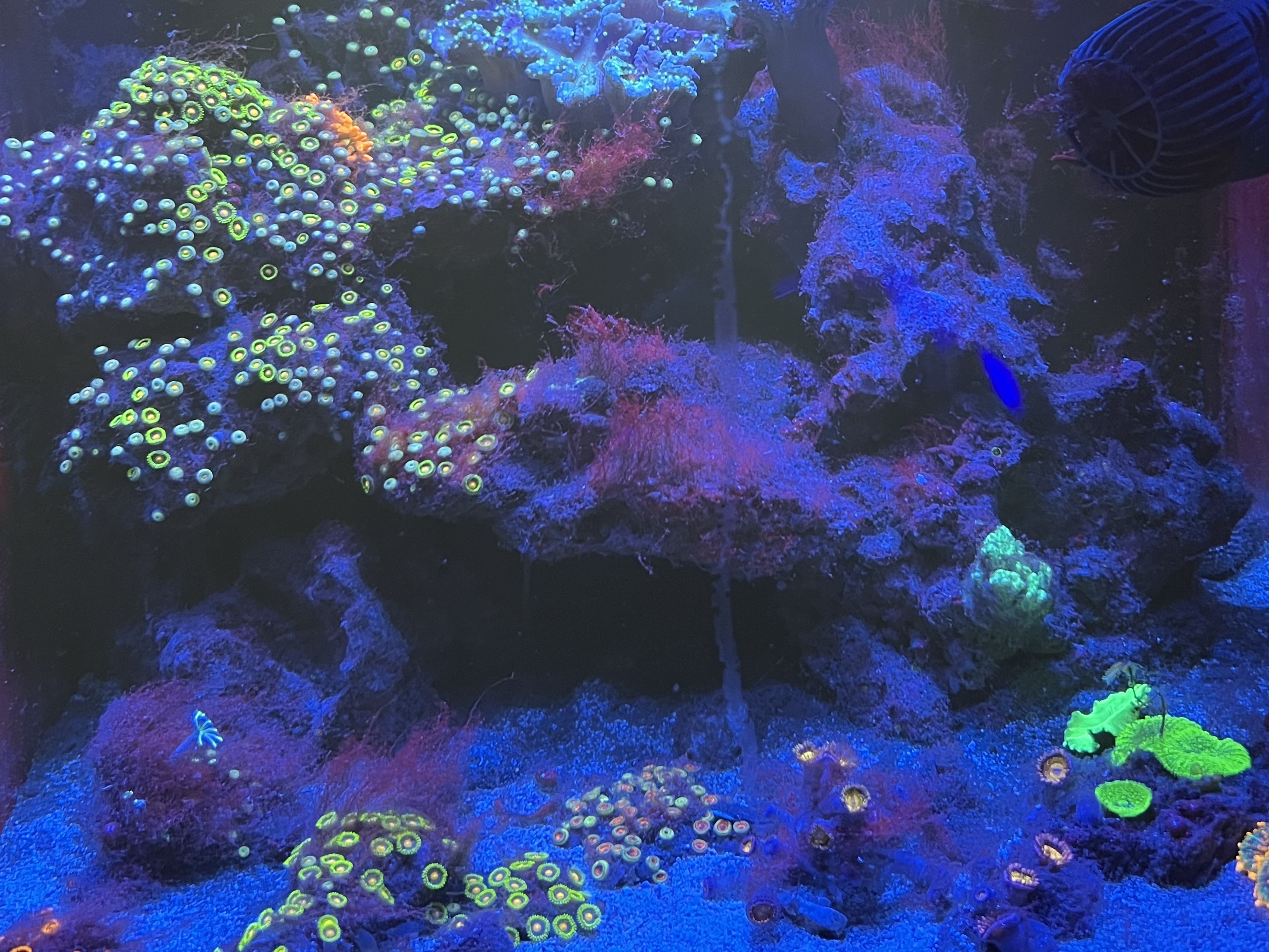 Tank Image