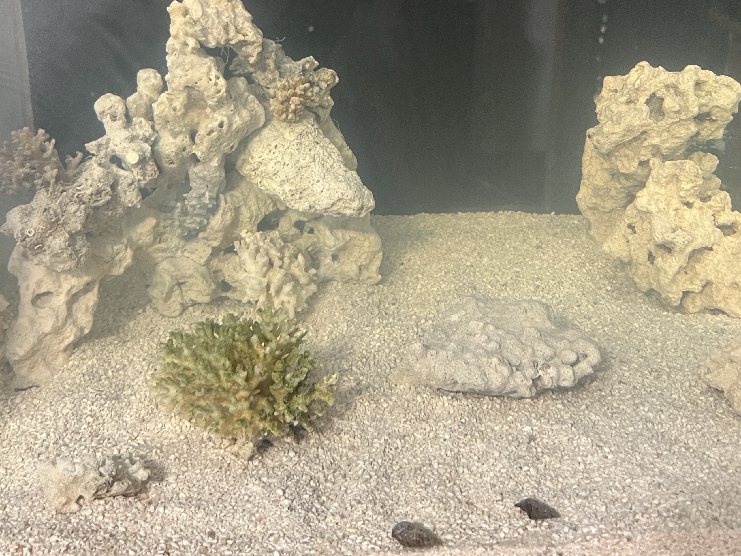 Tank Image