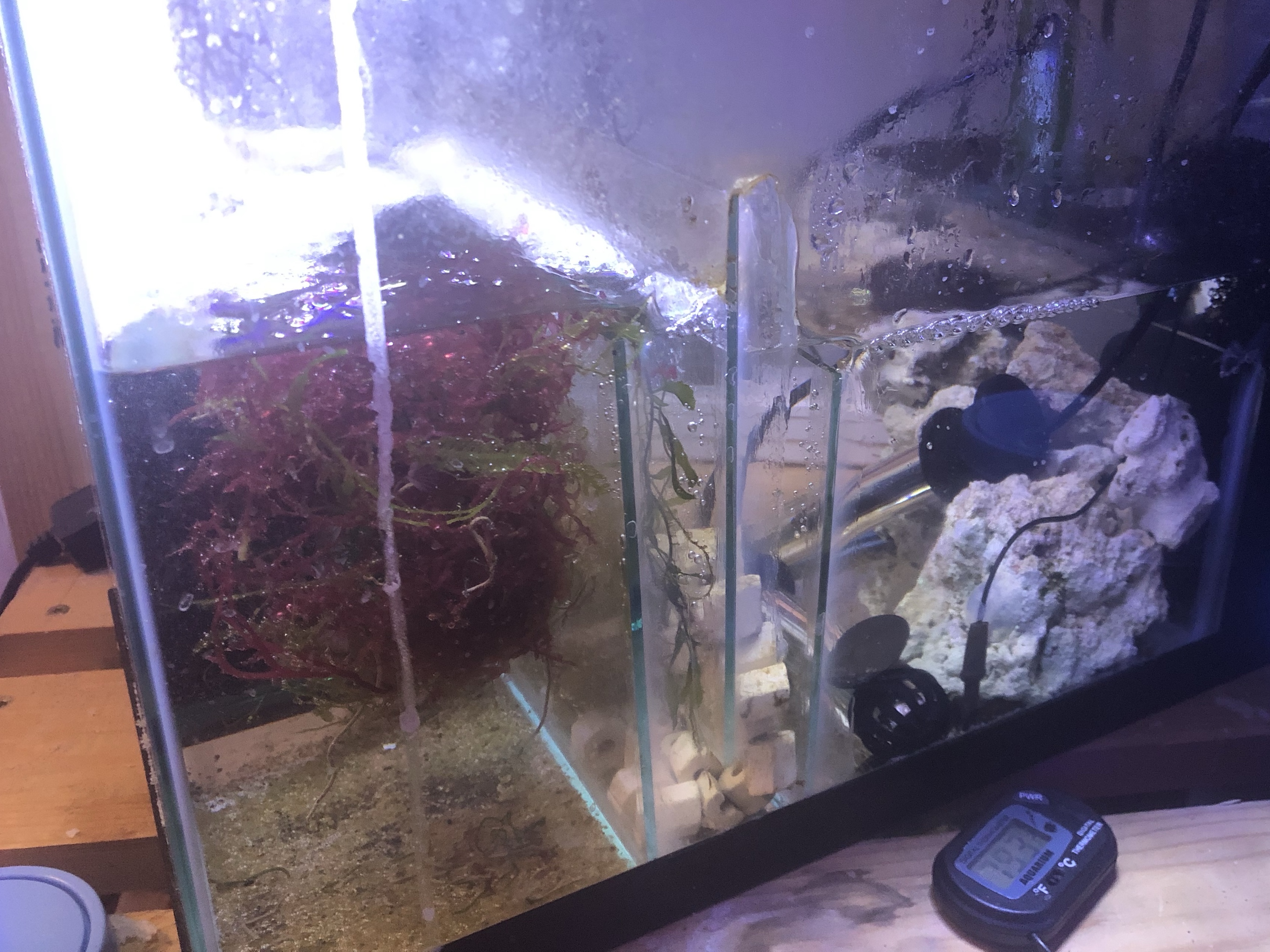 Tank Image