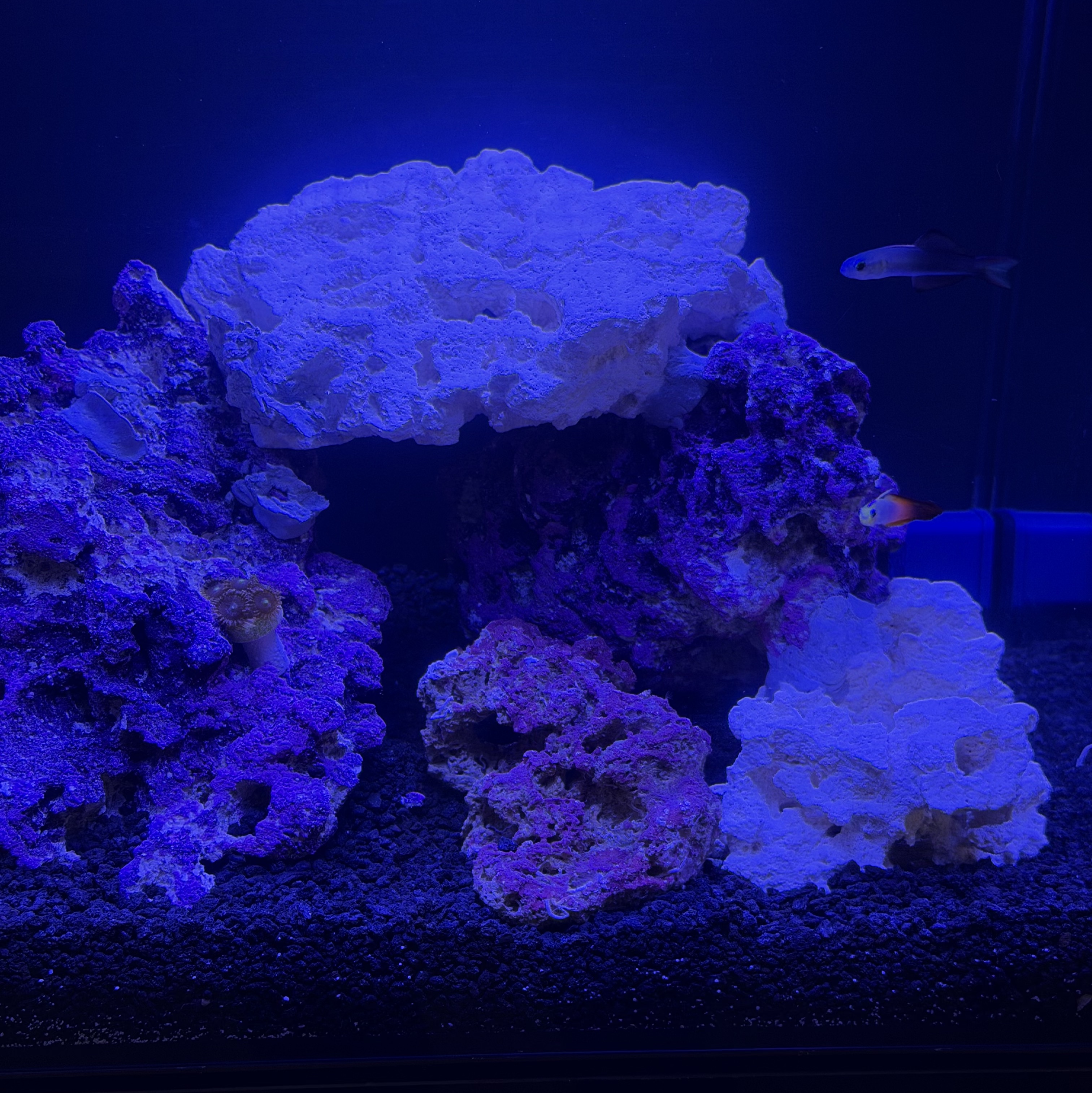 Tank Image