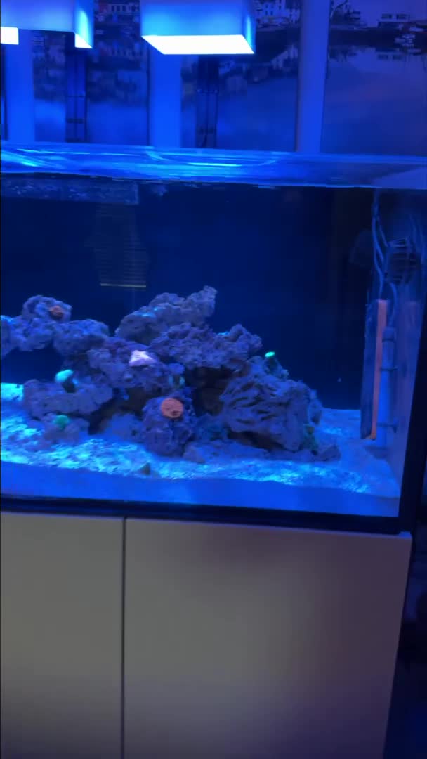 Had a 25 gallon and thought I’d upgrade just a little bit lol