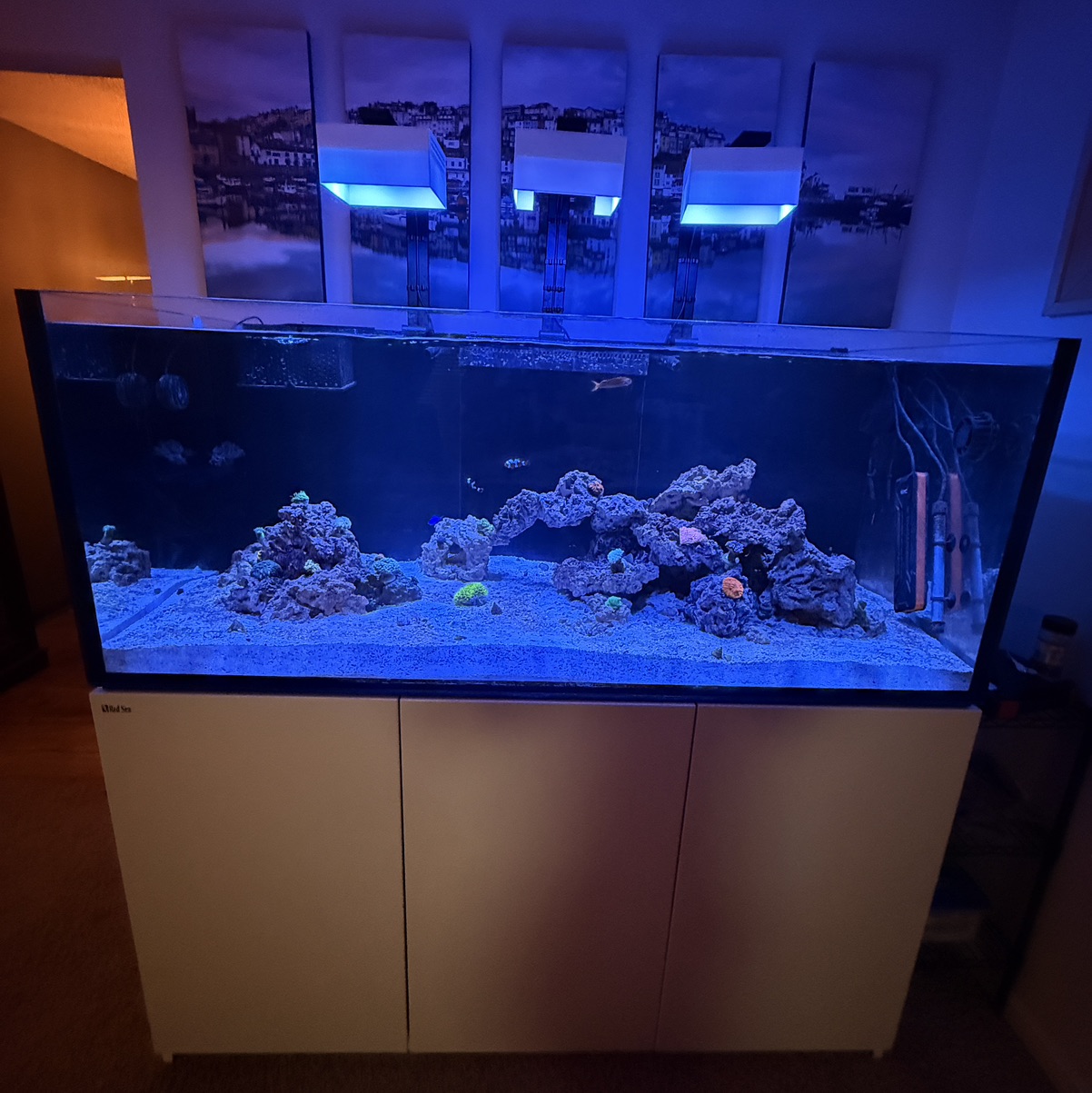 Tank Image
