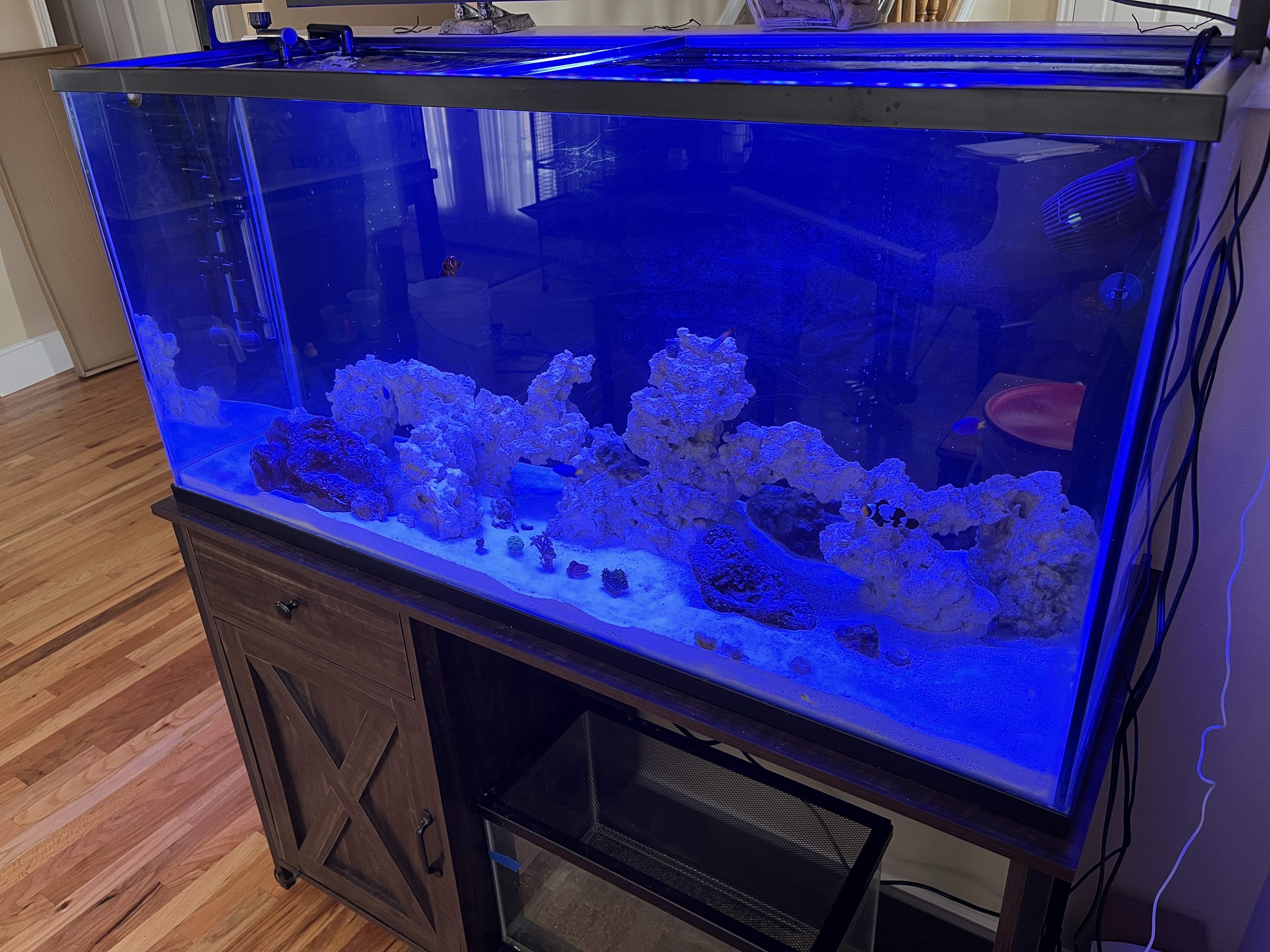 Tank Image