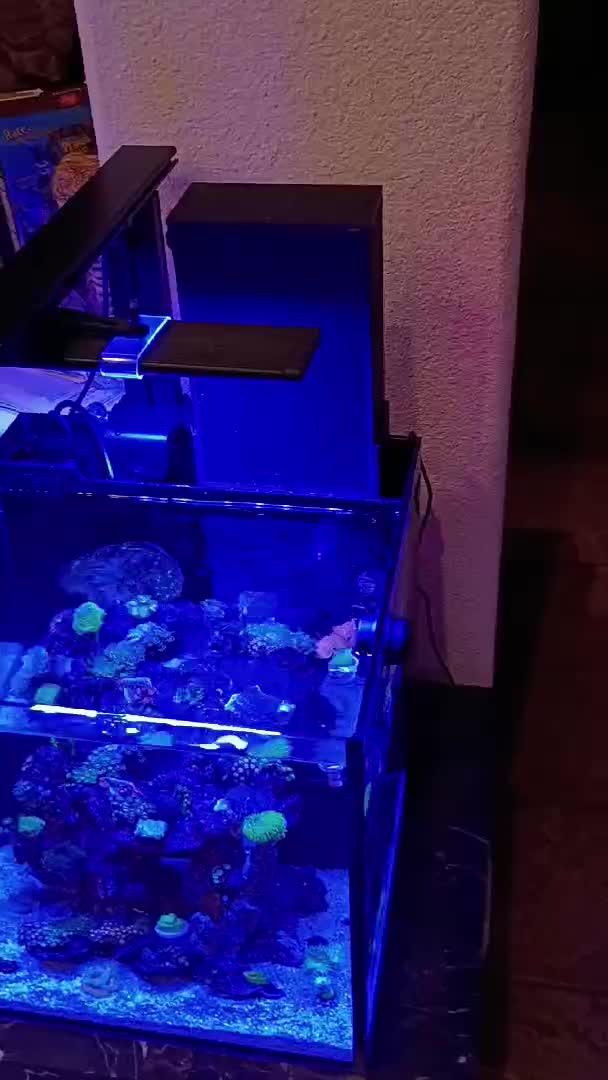 Ok this is an awesome algae turf scrubber.