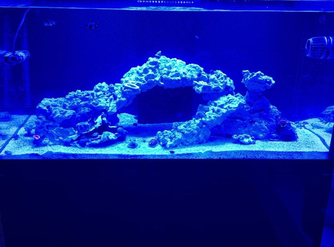 Tank Image