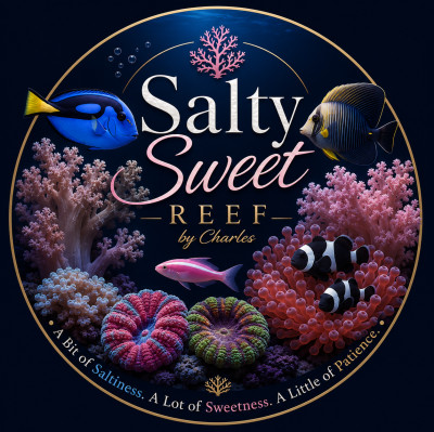 SaltySweet.Reef