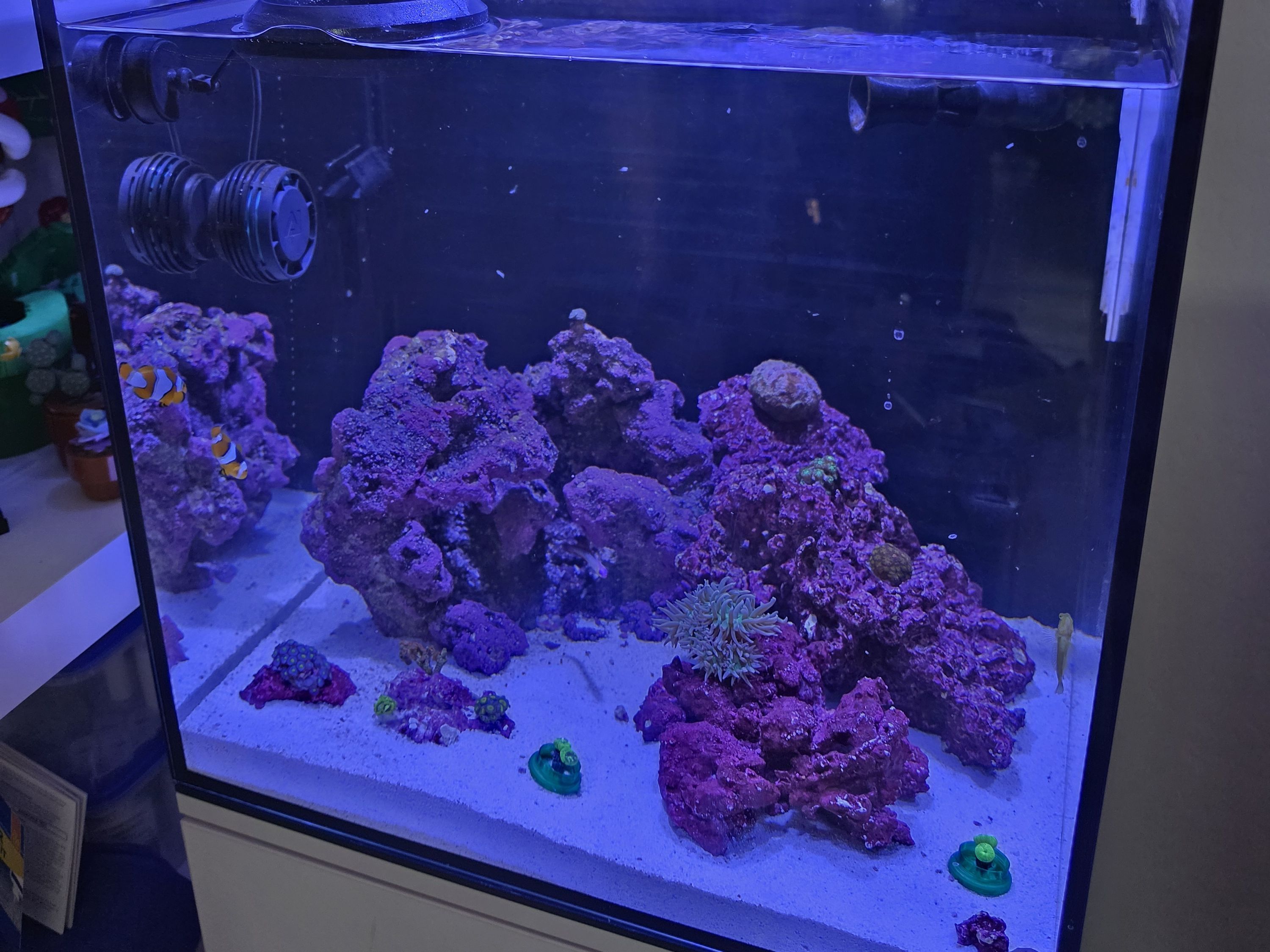 Tank Image