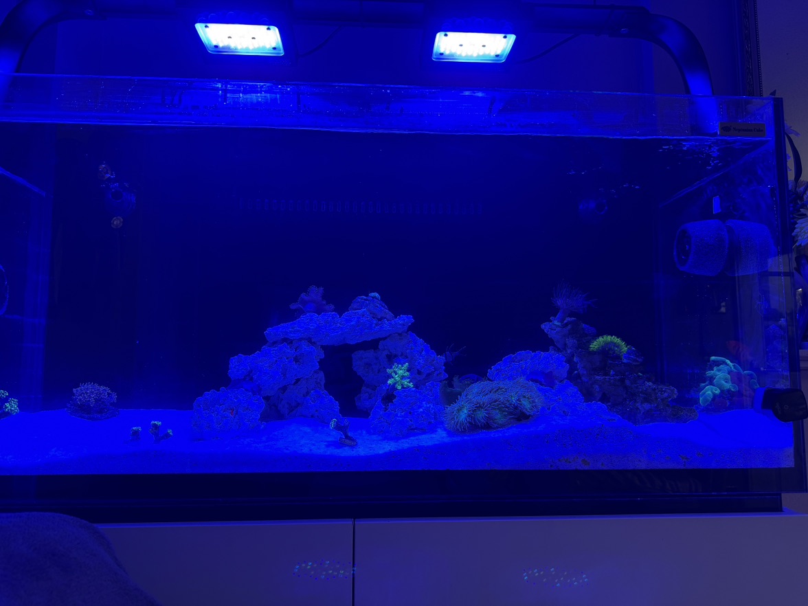 Tank Image
