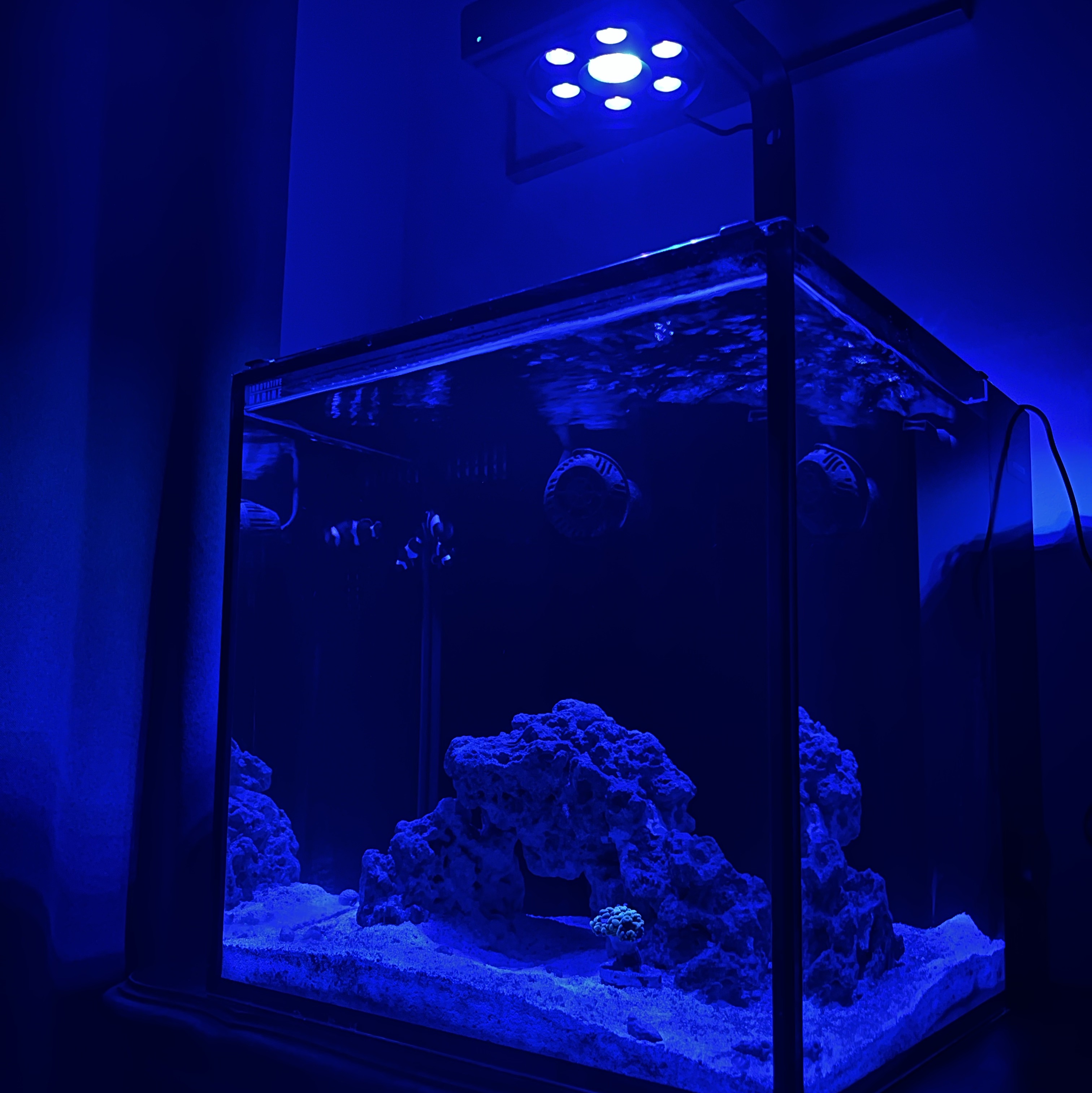 Tank Image