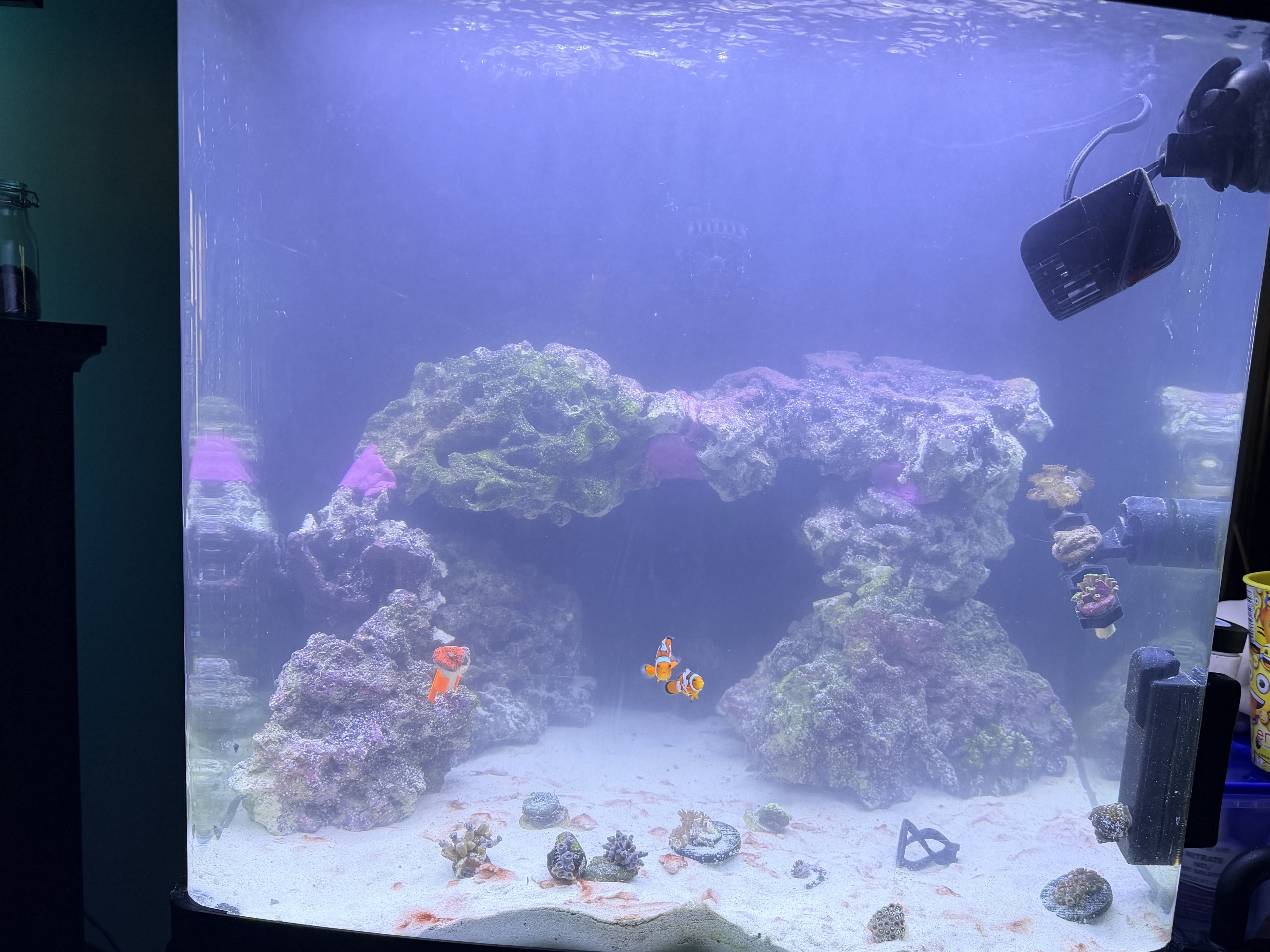 Tank Image