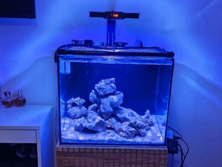 Tank Image