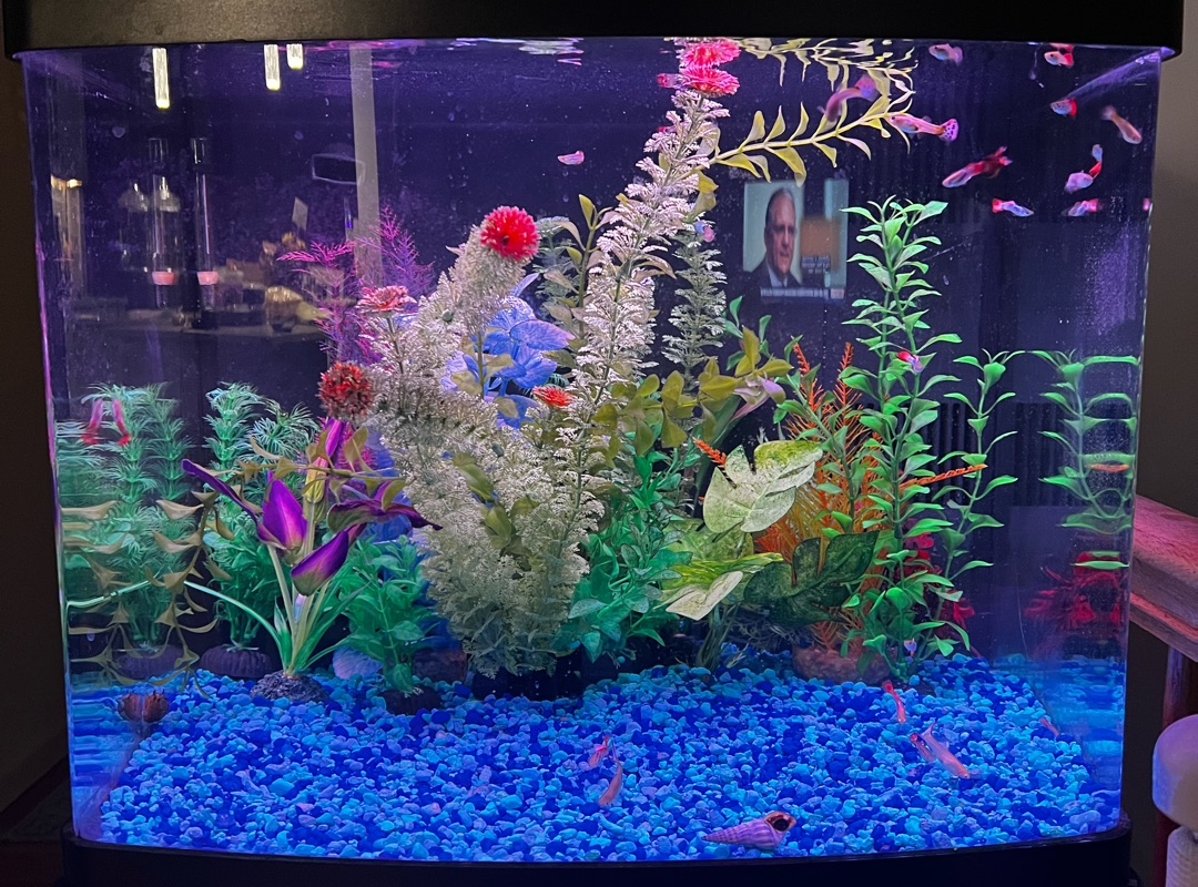 Tank Image