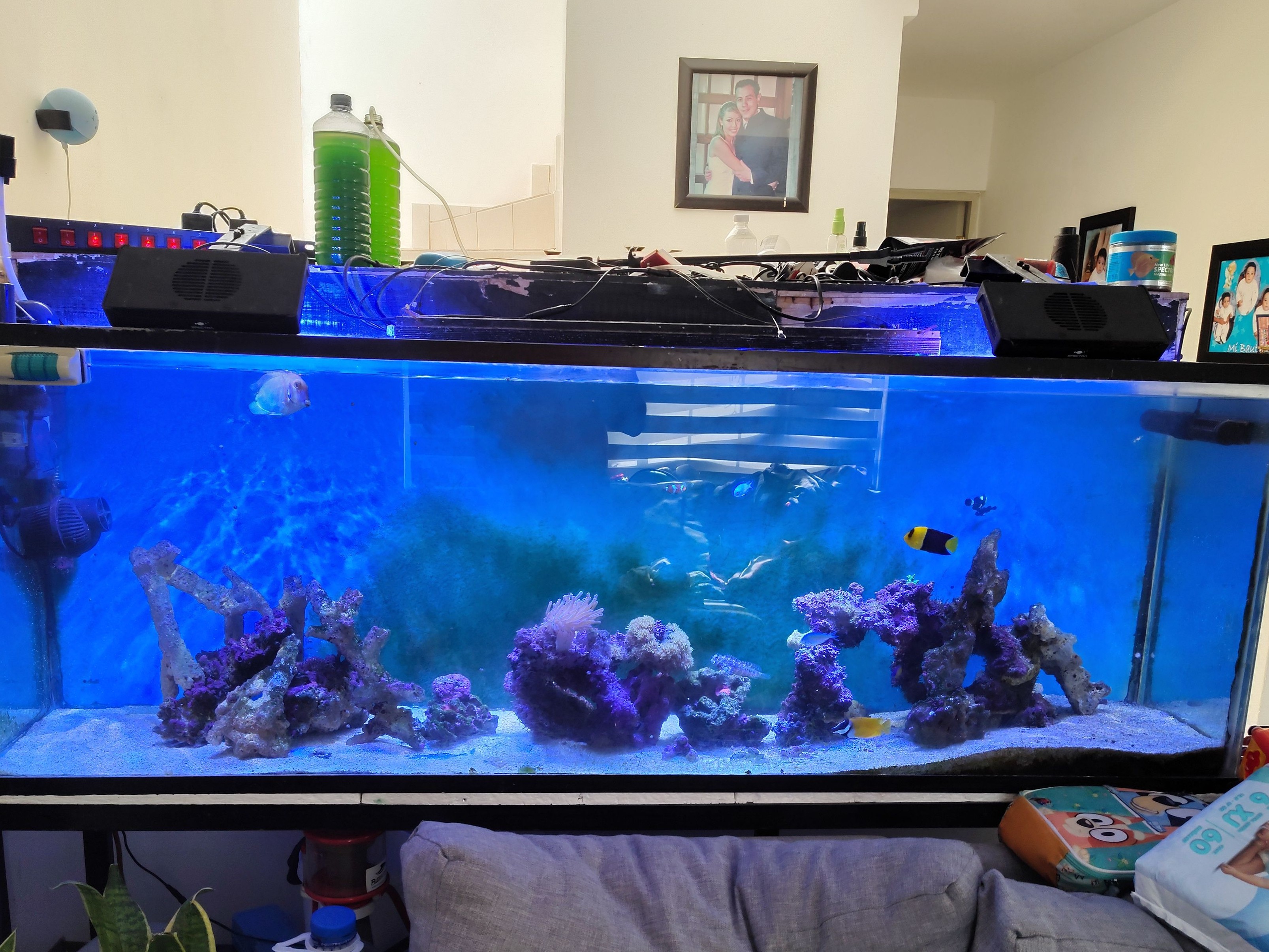 Tank Image