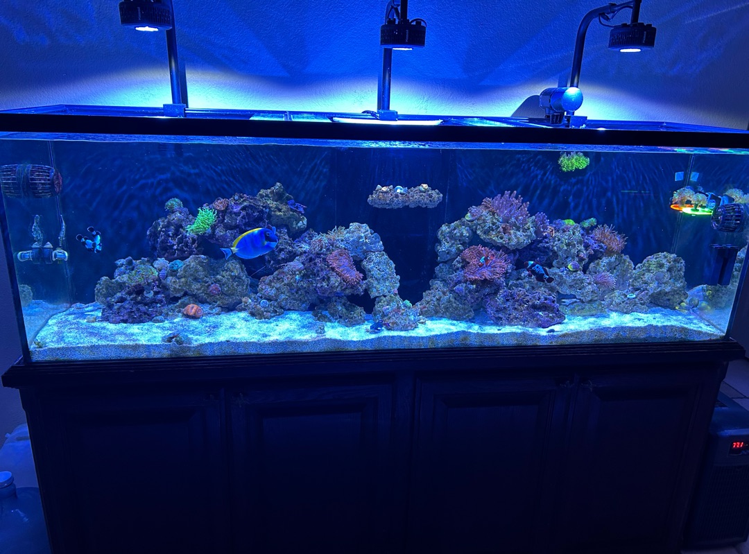 Tank Image