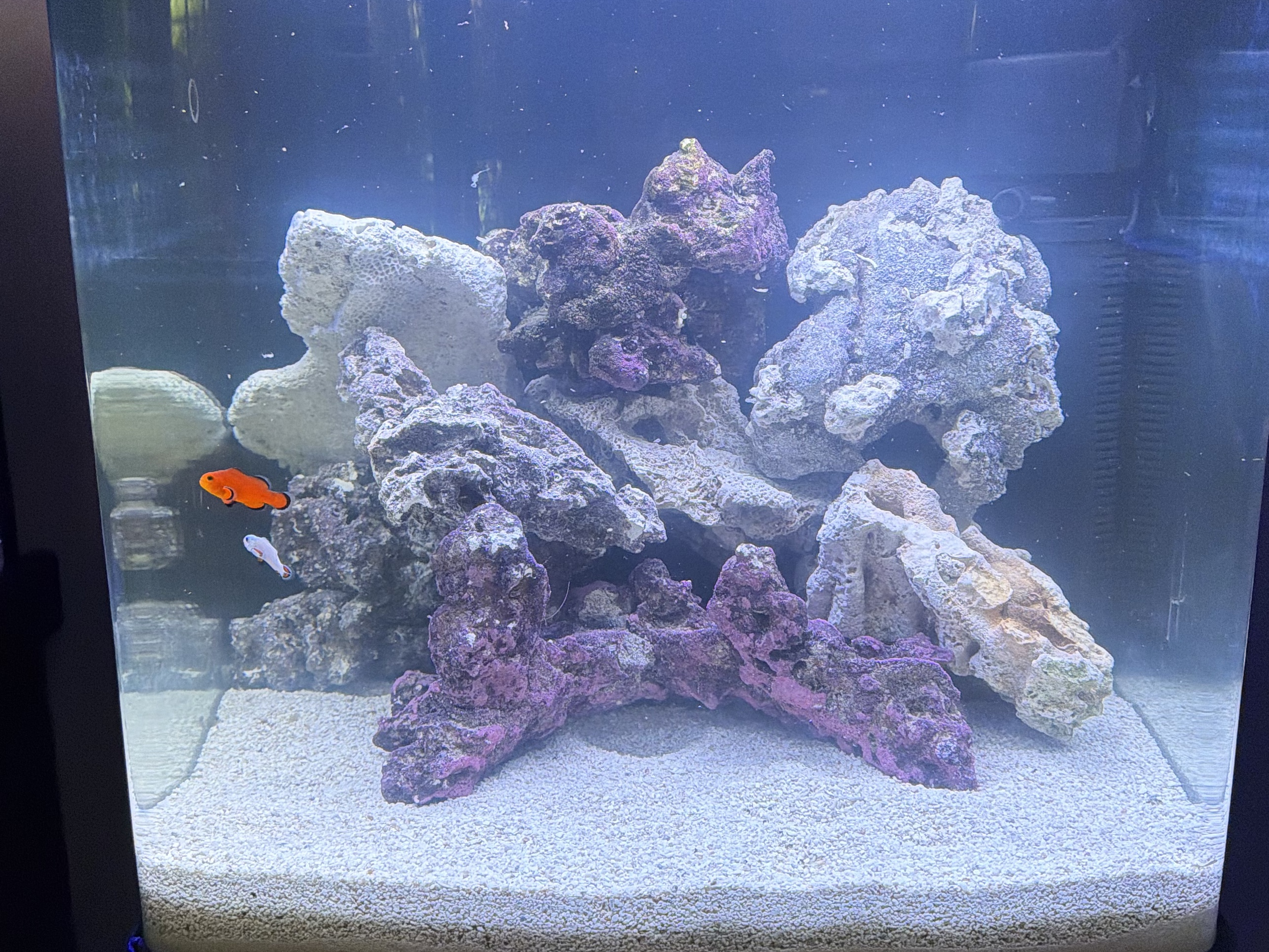 Tank Image
