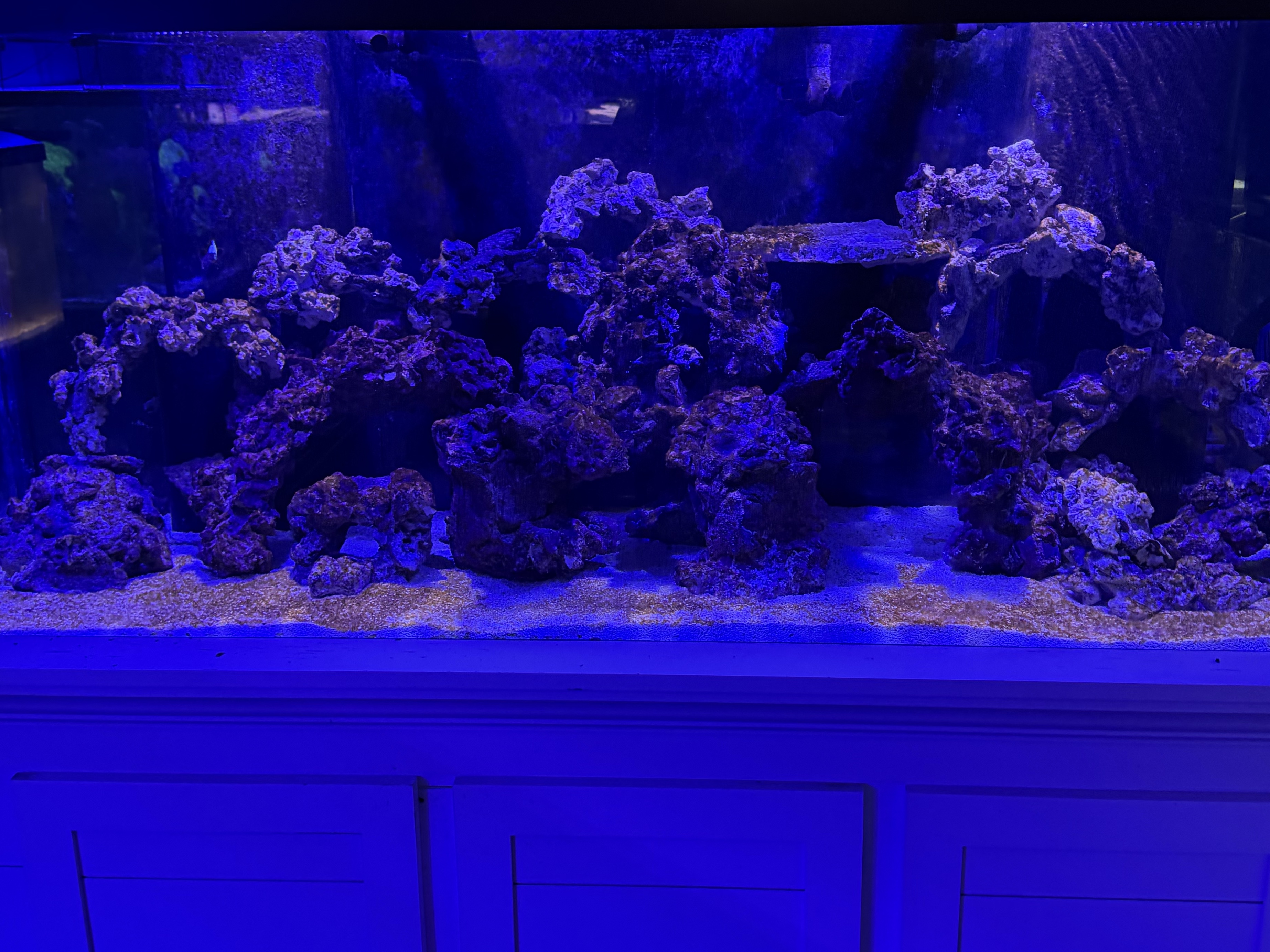 Tank Image
