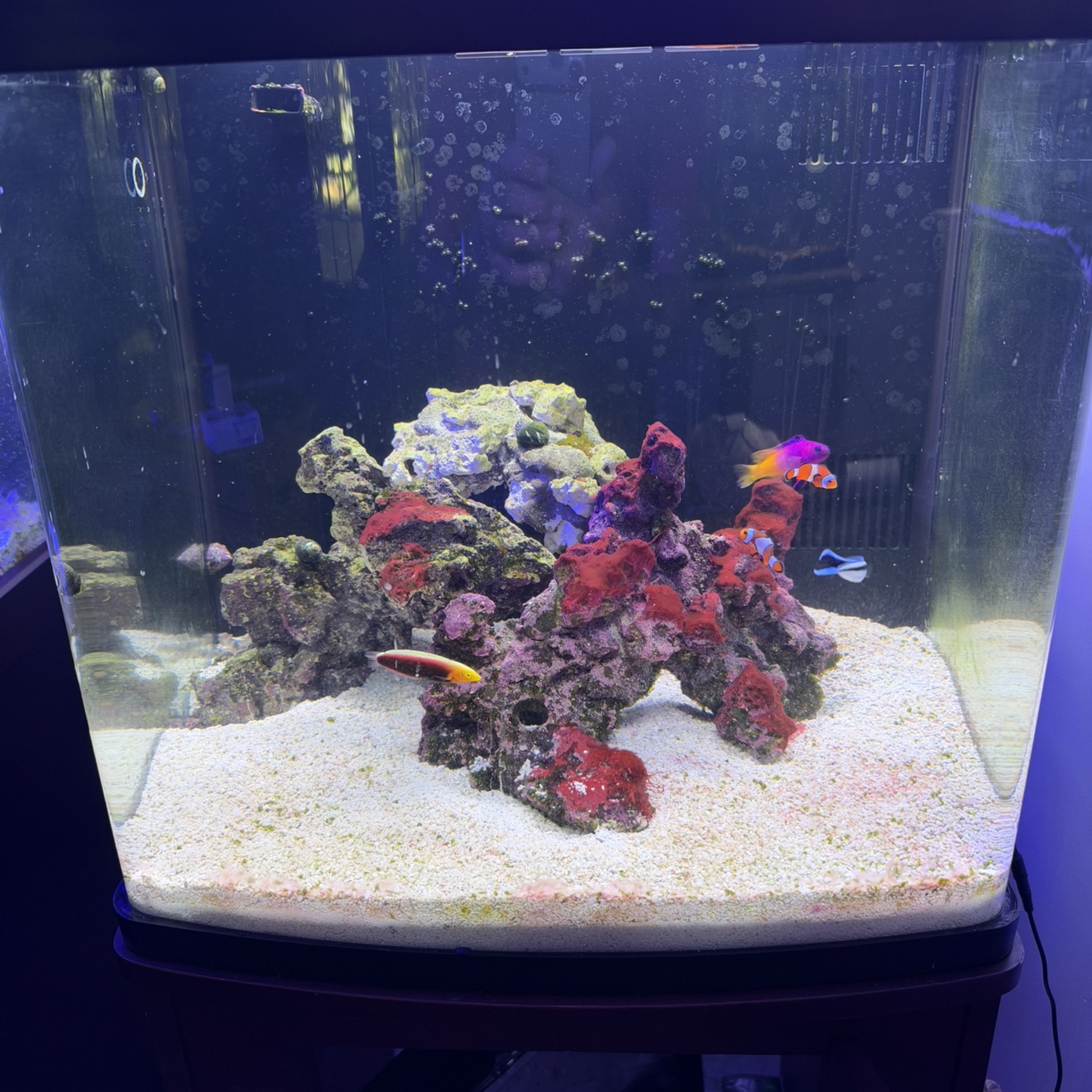 Tank Image
