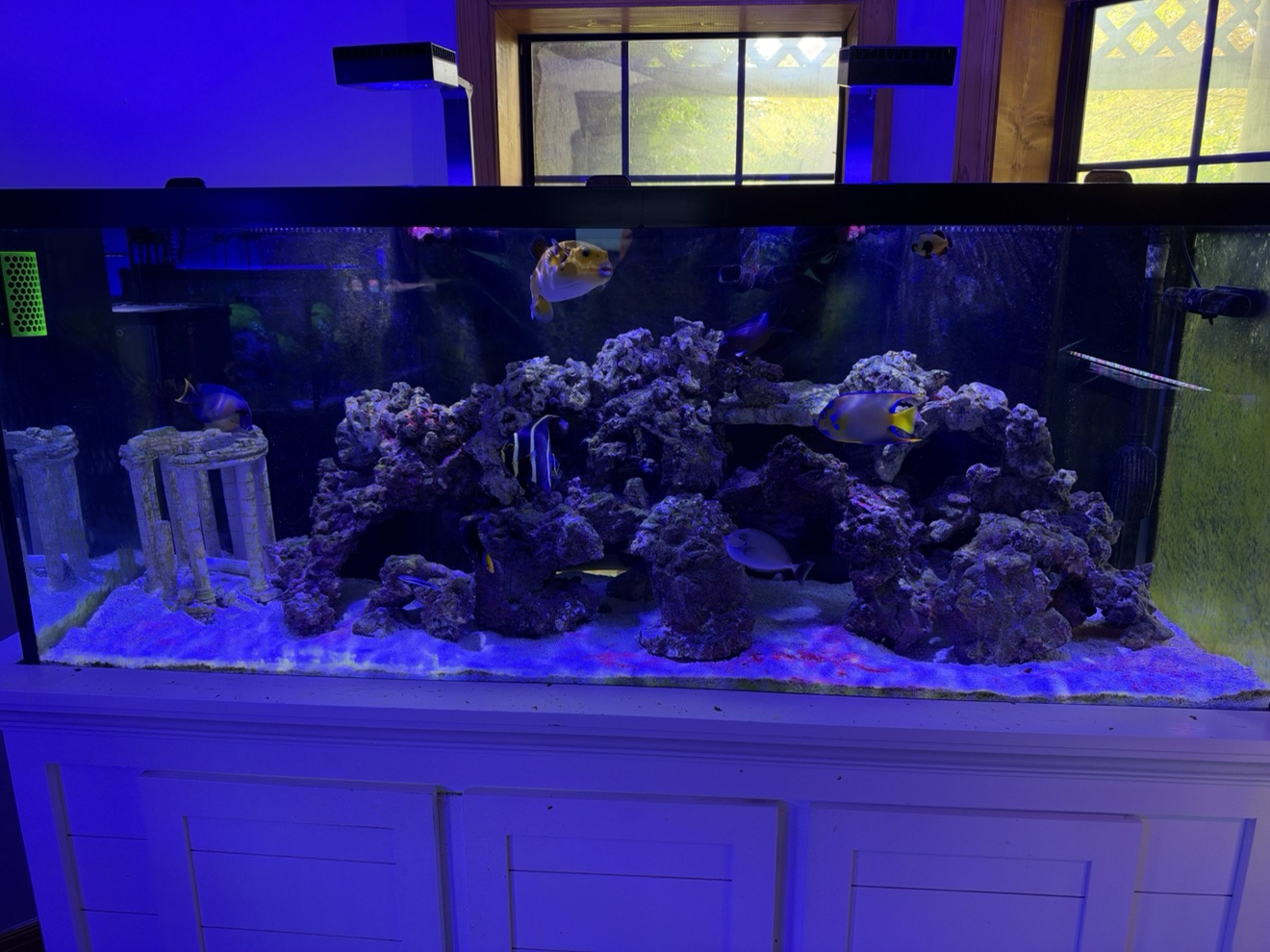 Tank Image