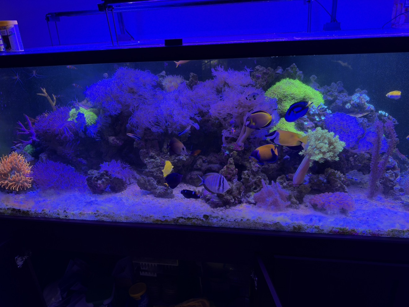 Tank Image