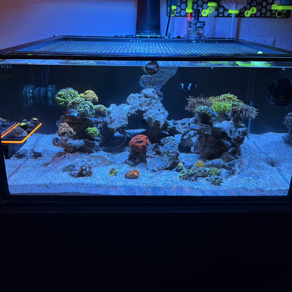 Tank Image