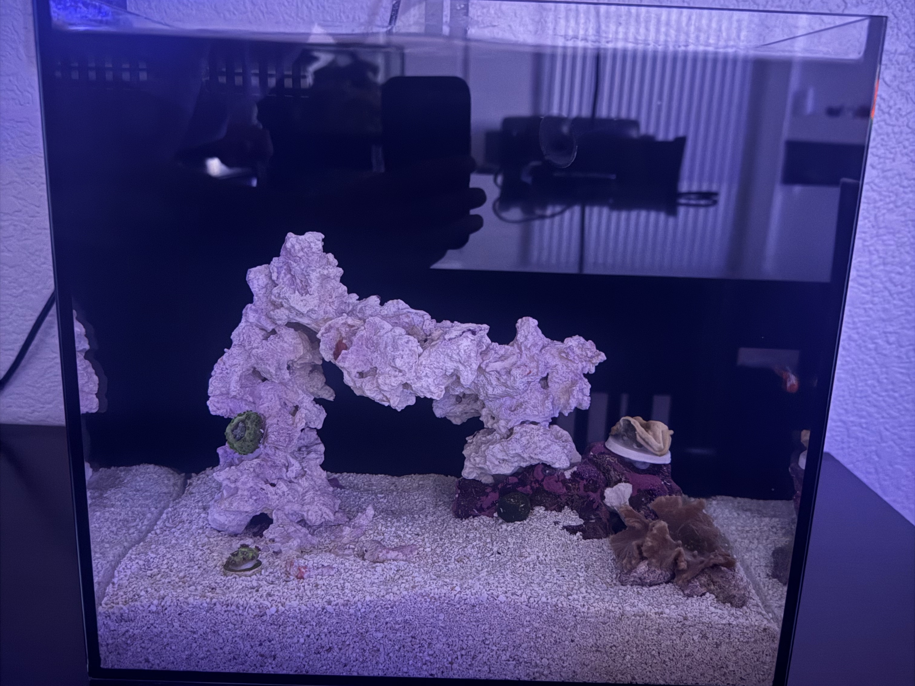 Tank Image