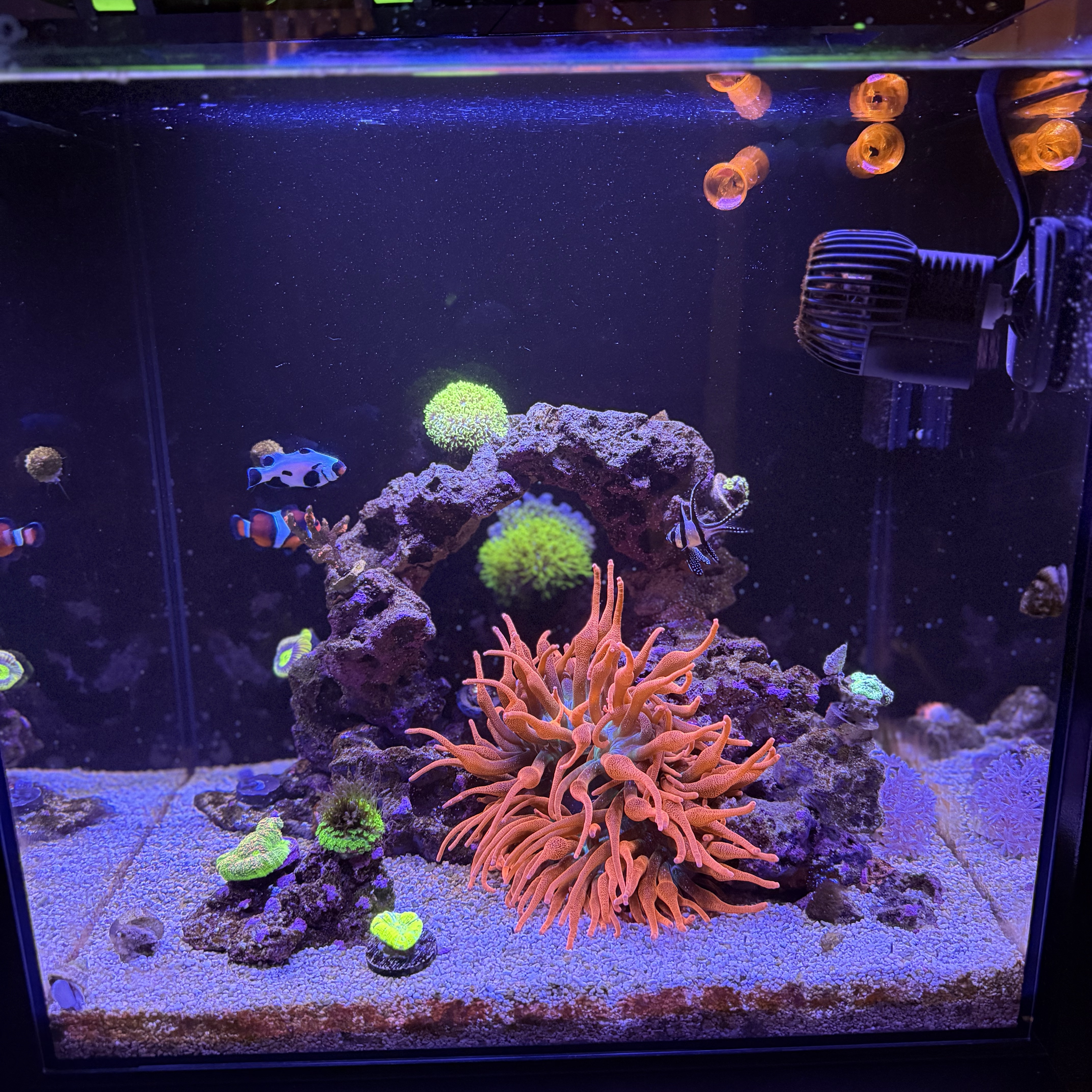 Tank Image