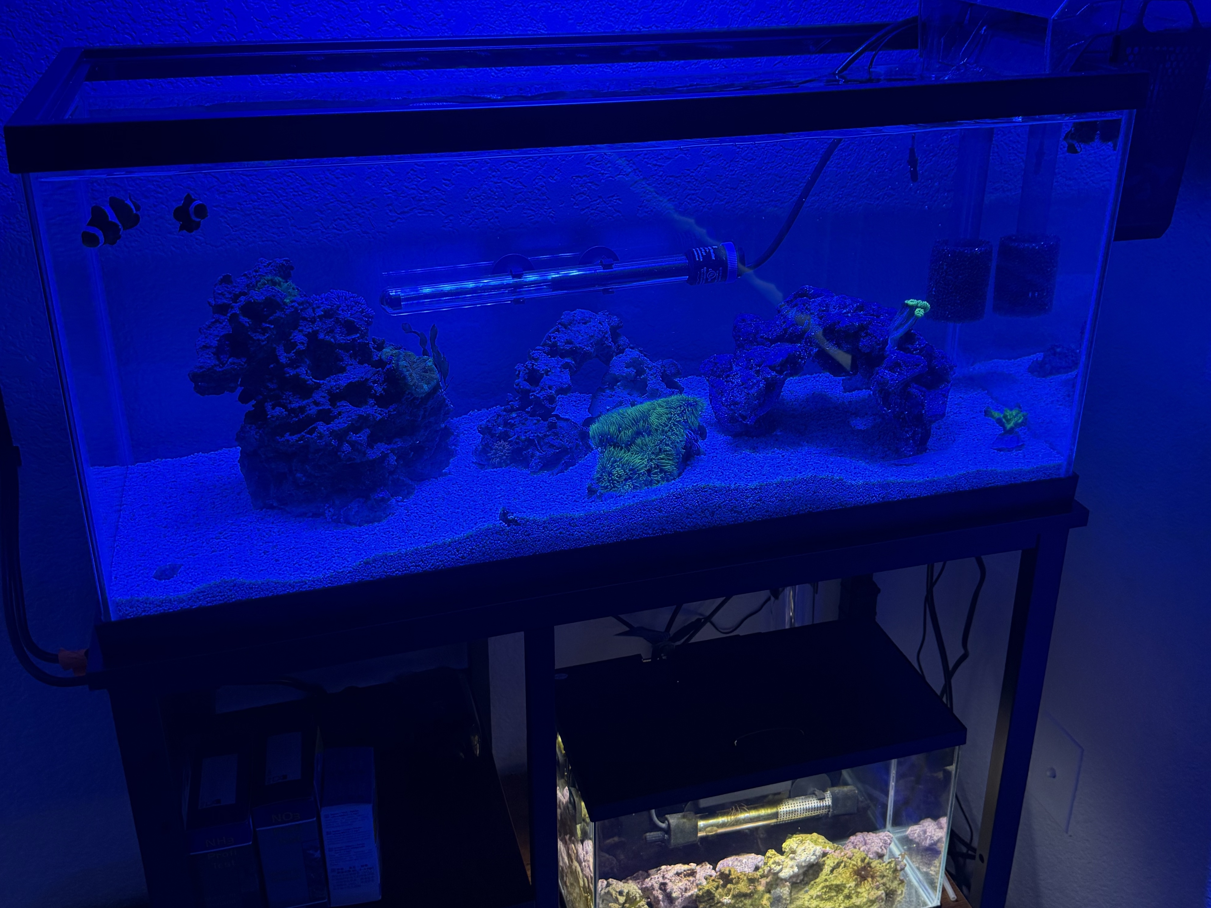 Tank Image