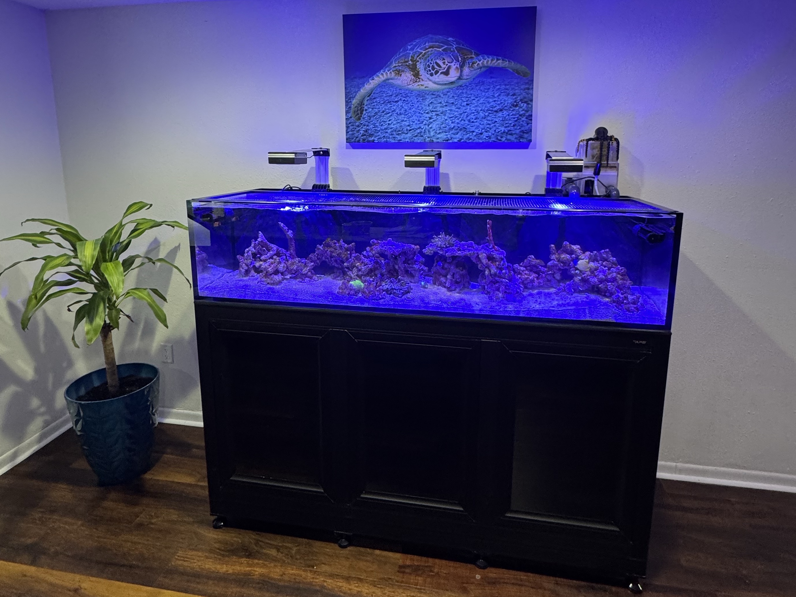 Tank Image