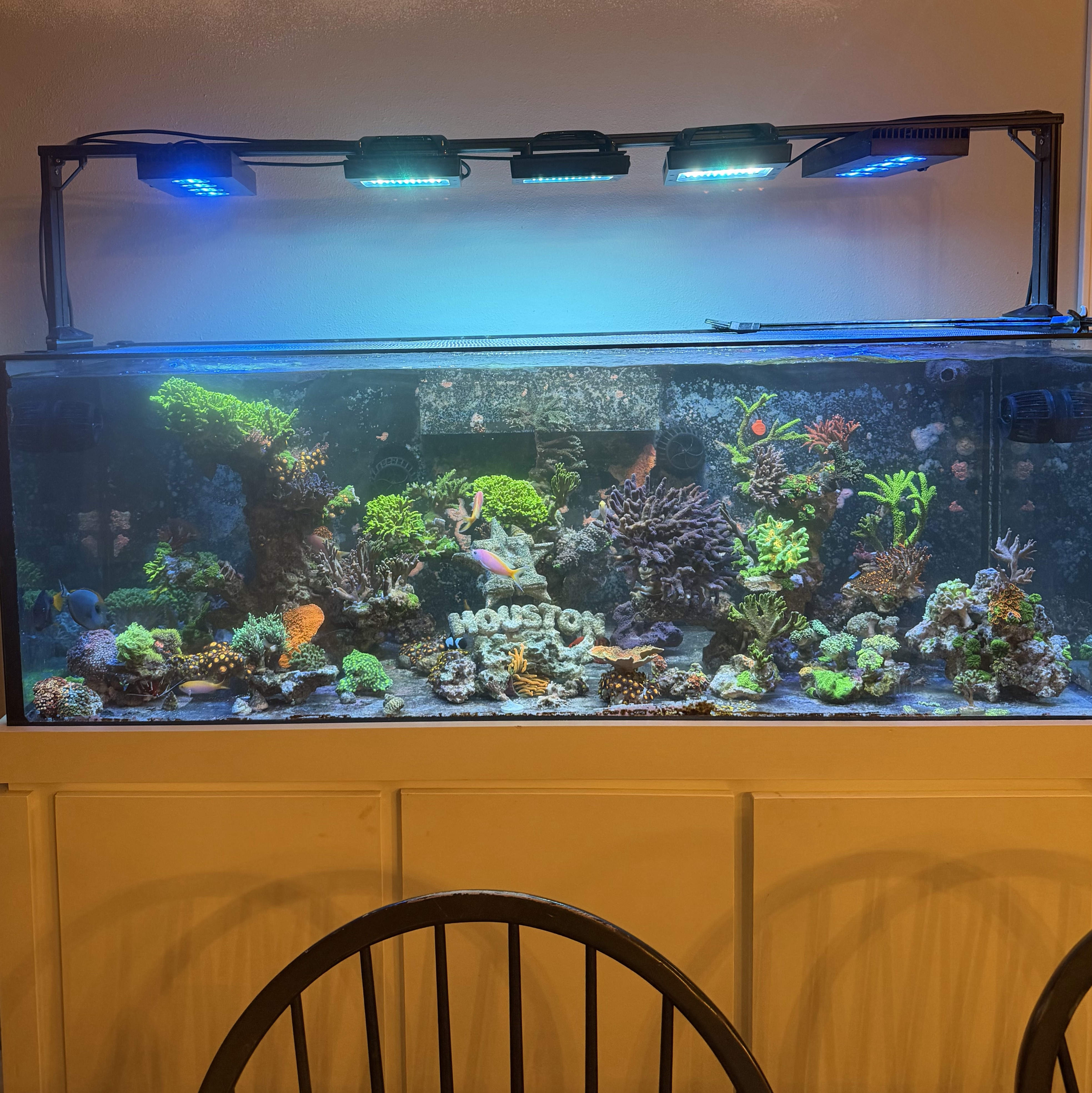 Tank Image