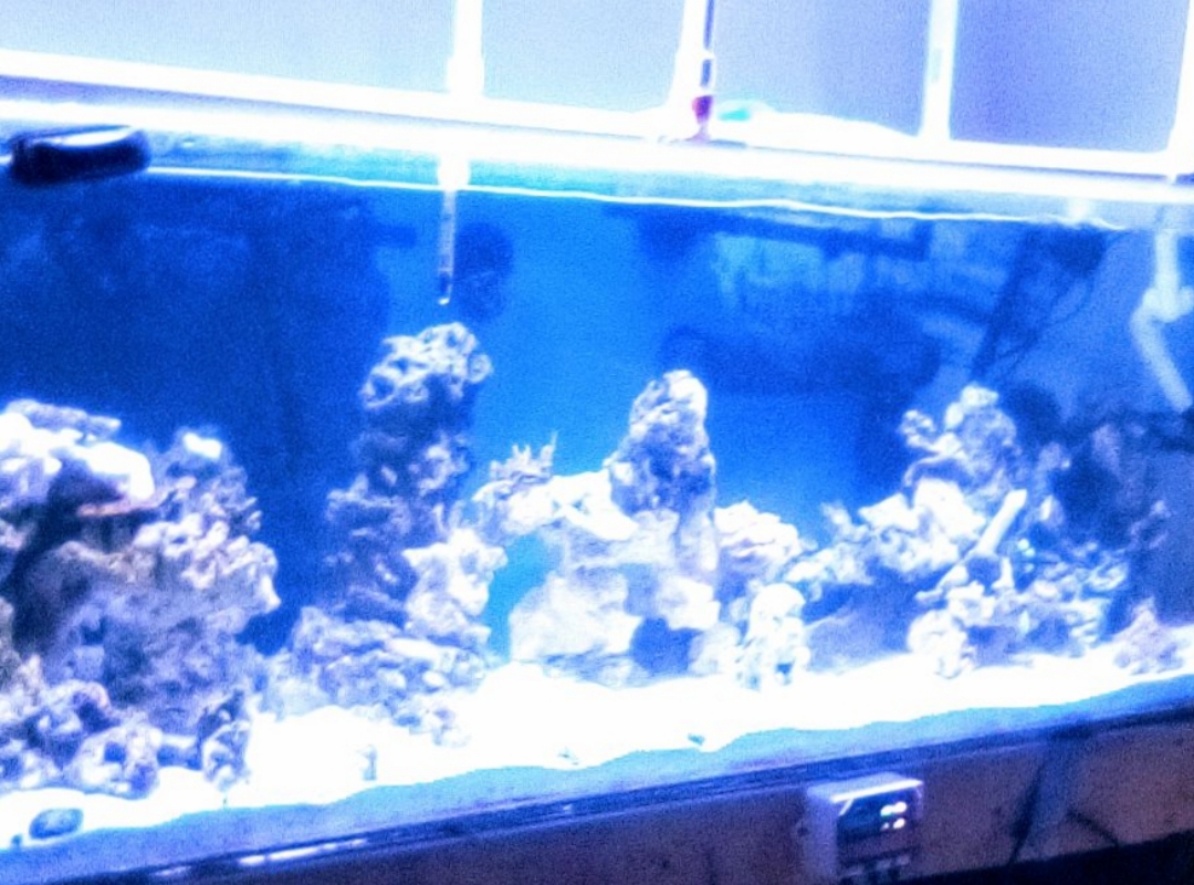 Tank Image
