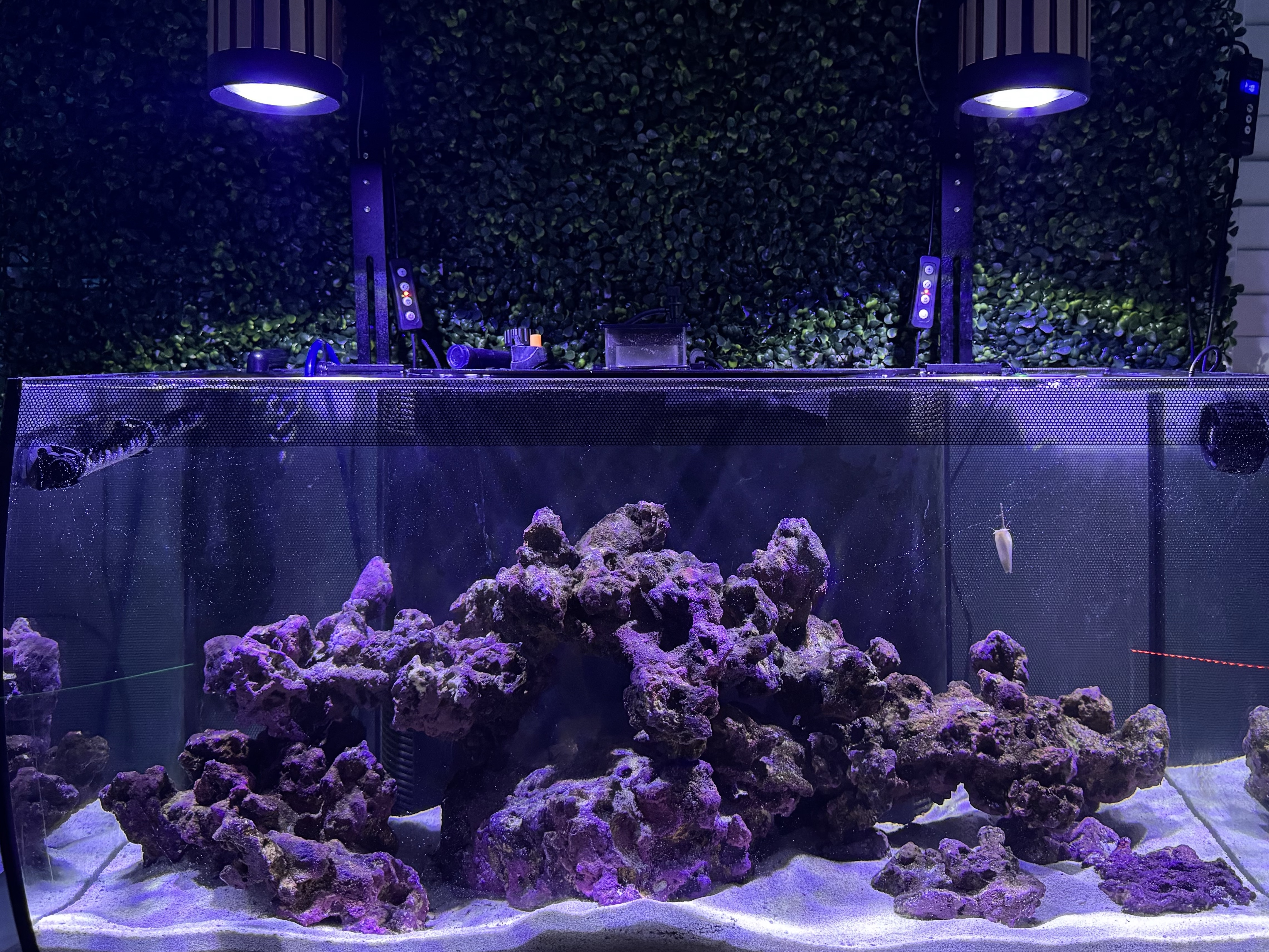 Tank Image