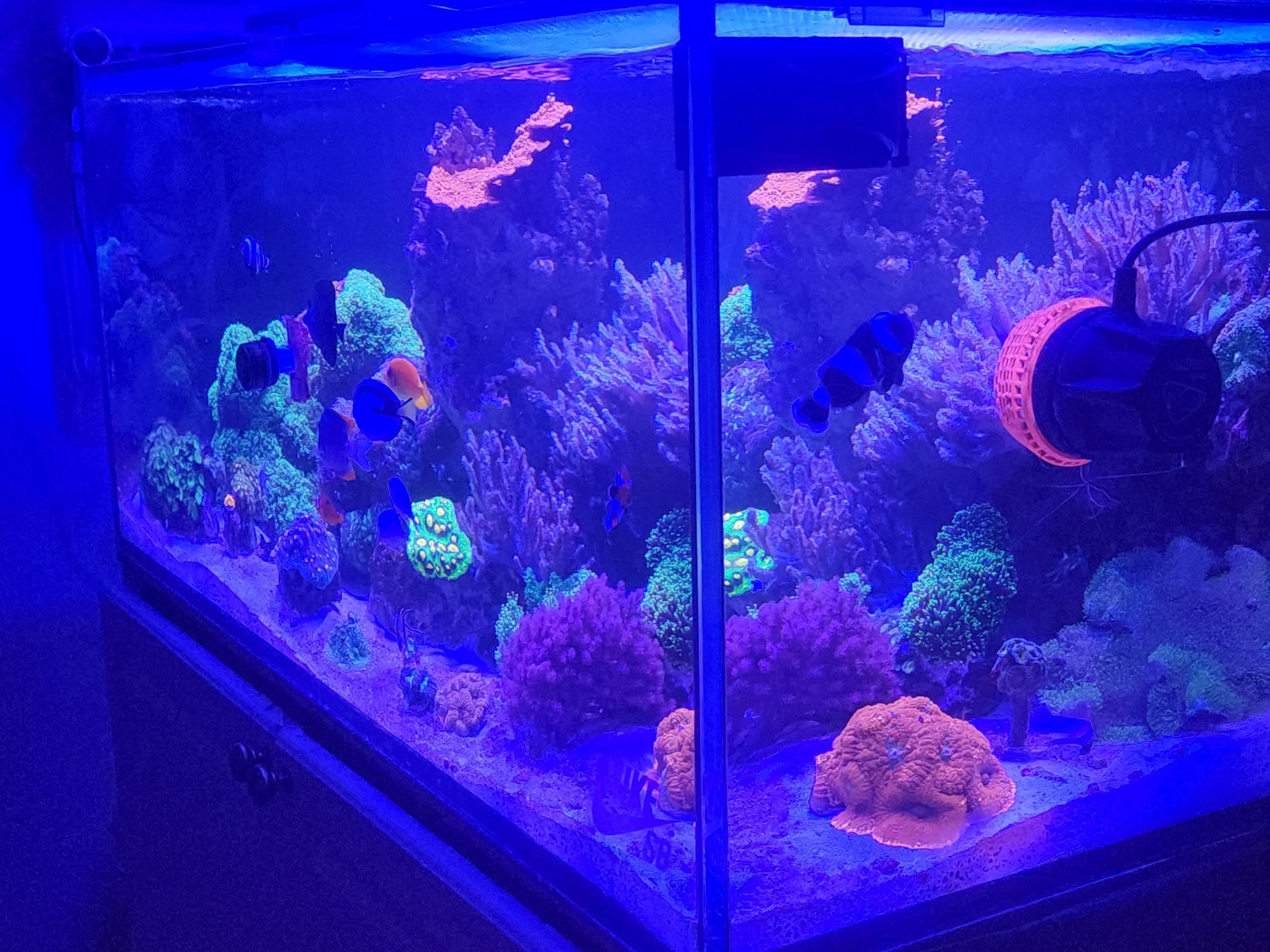 Tank Image