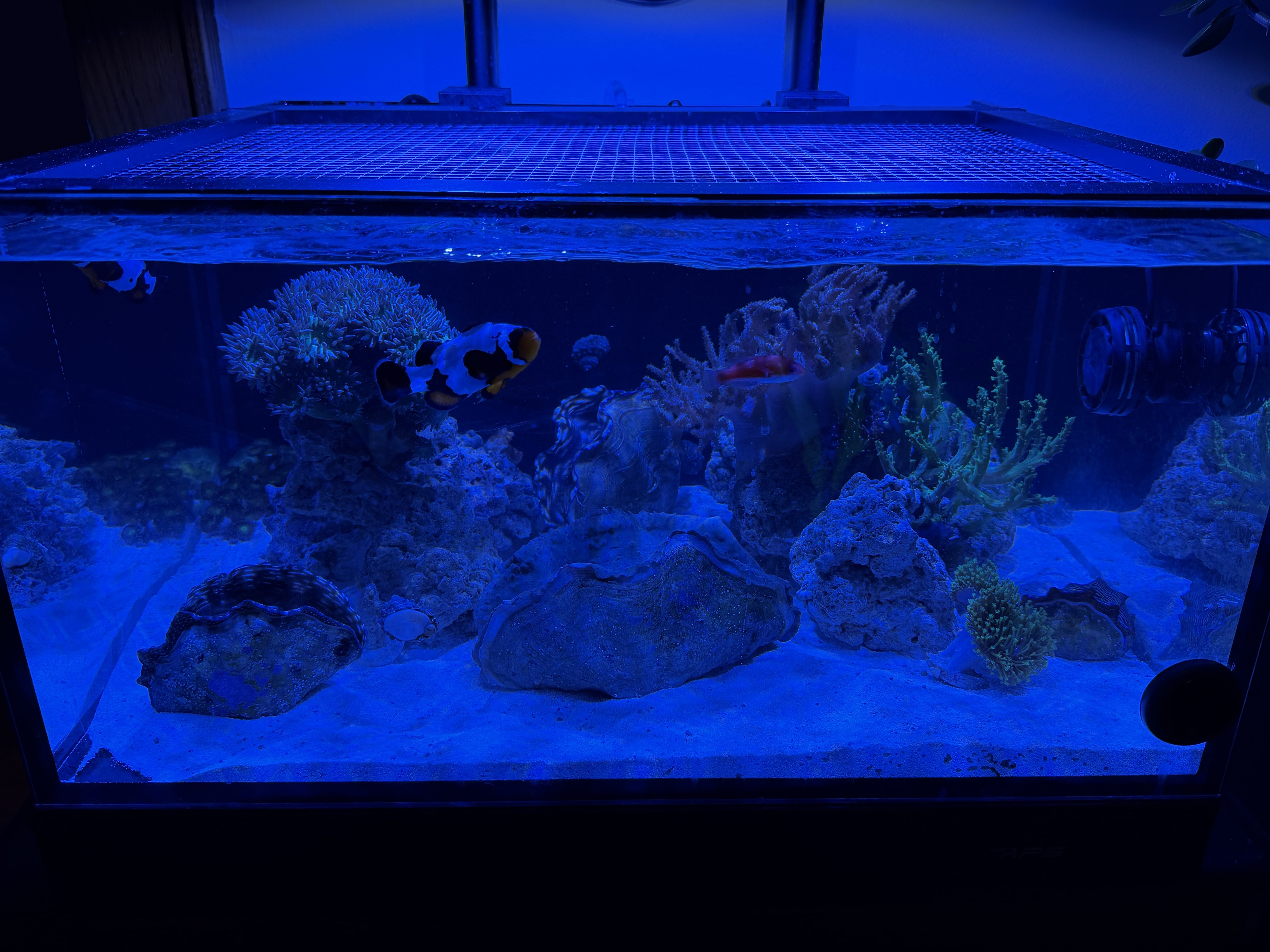 Tank Image