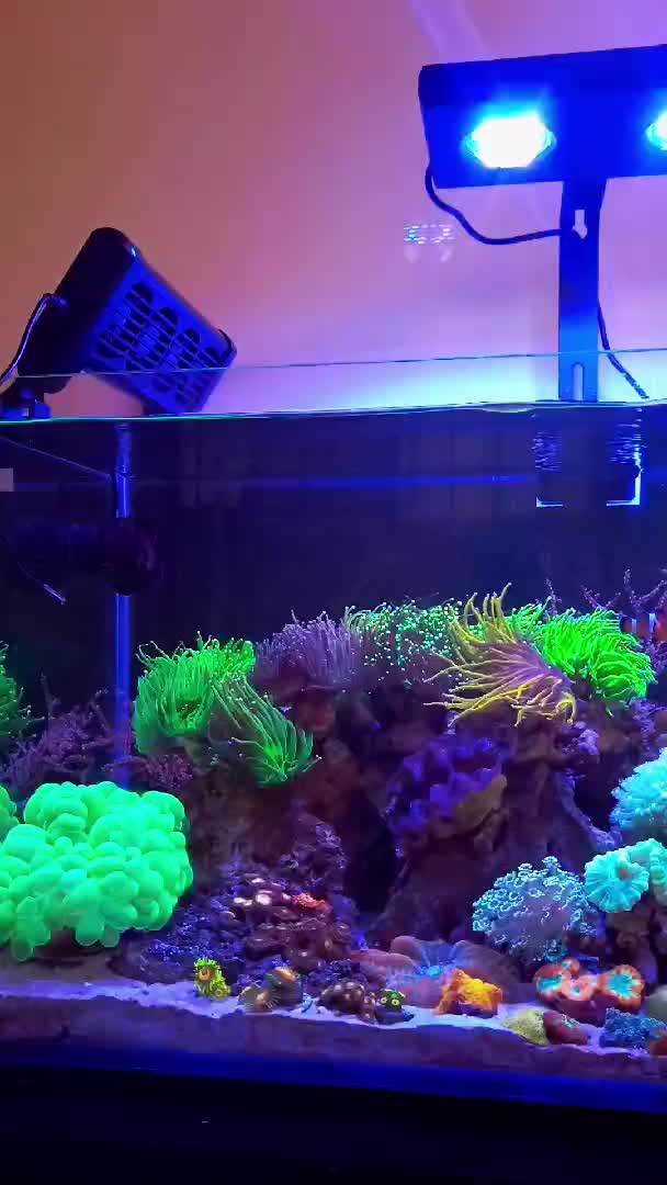 Rescaped a lot while I did my weekly maintenance, everyone seems happy...