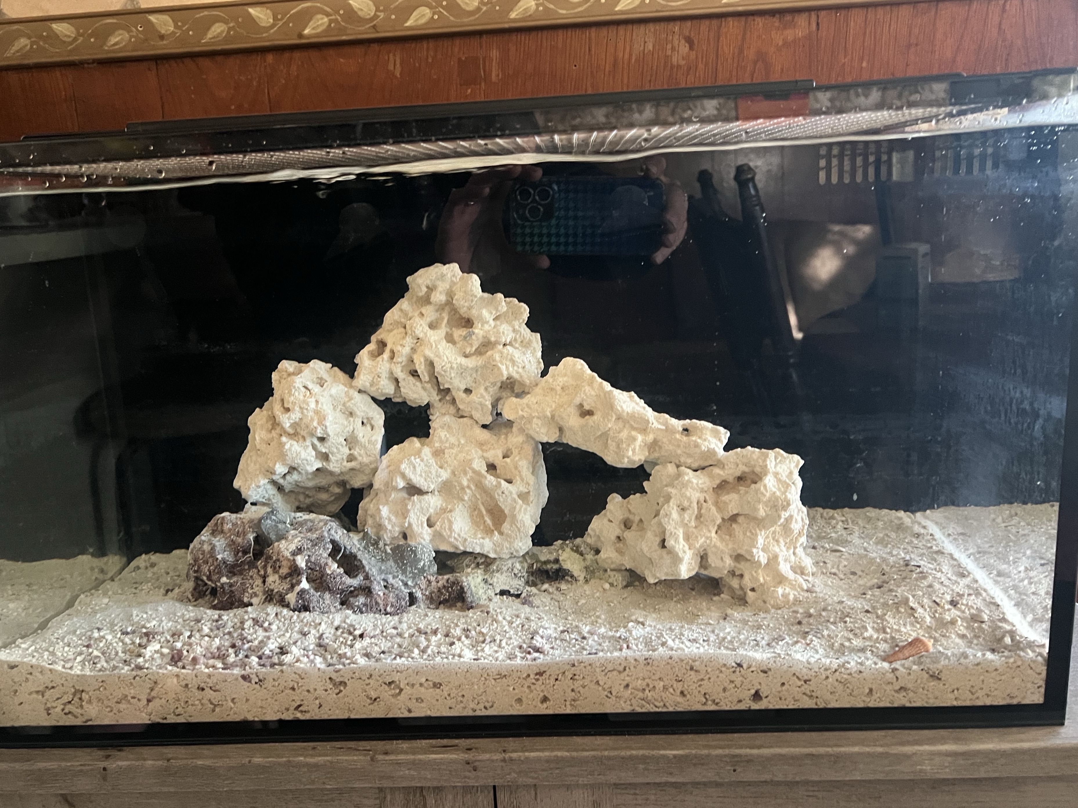Tank Image