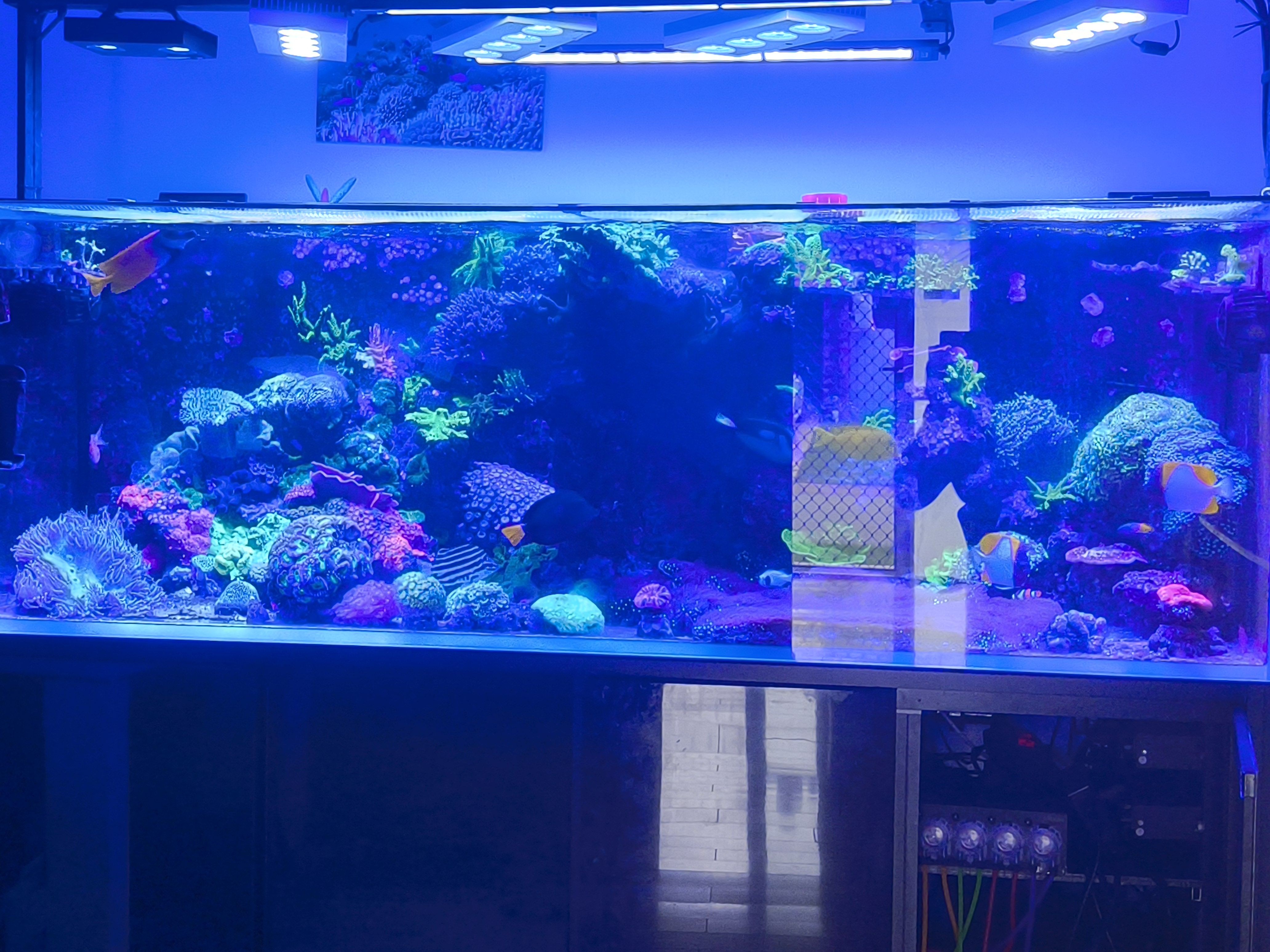 Tank Image