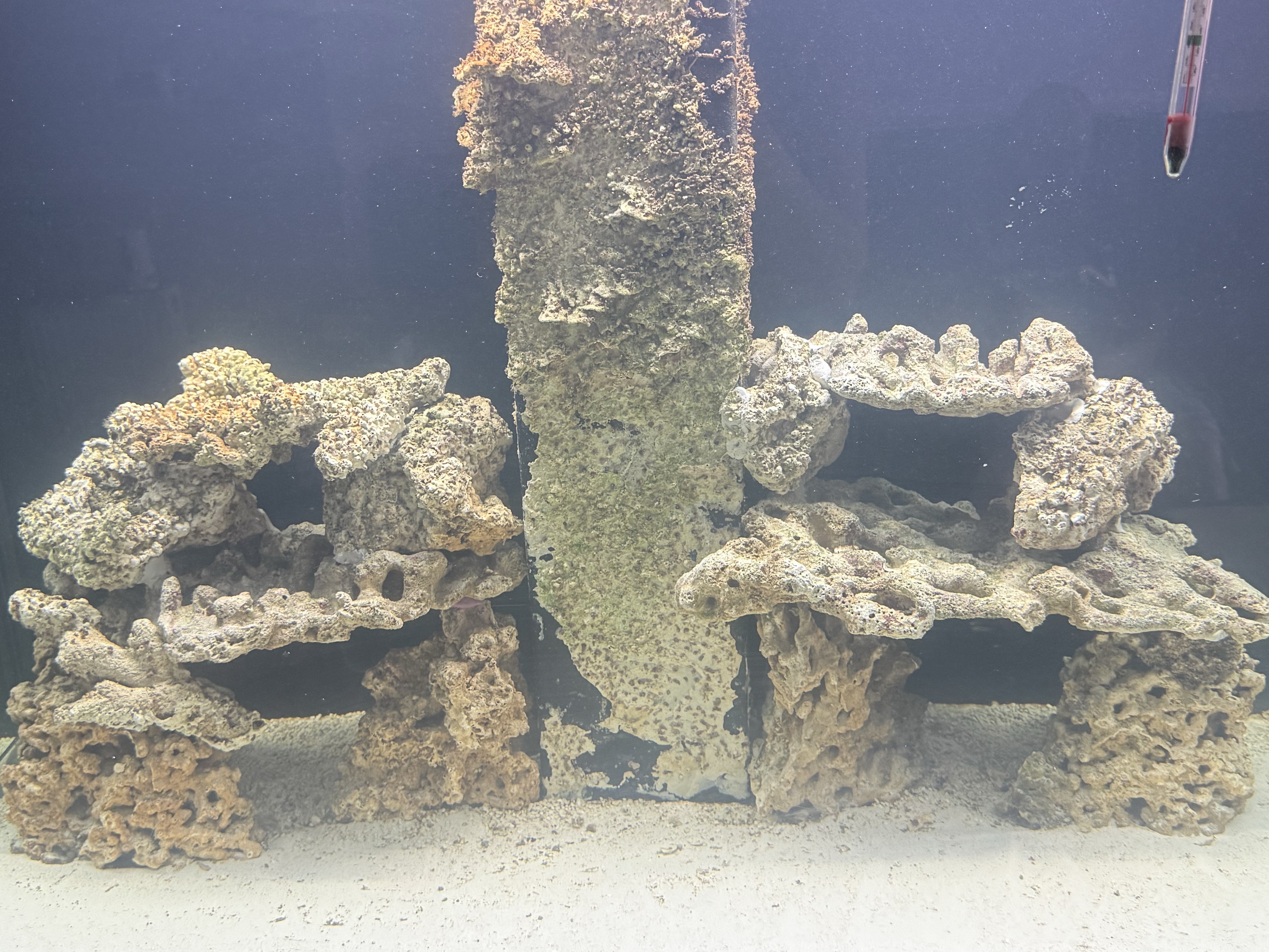 Tank Image