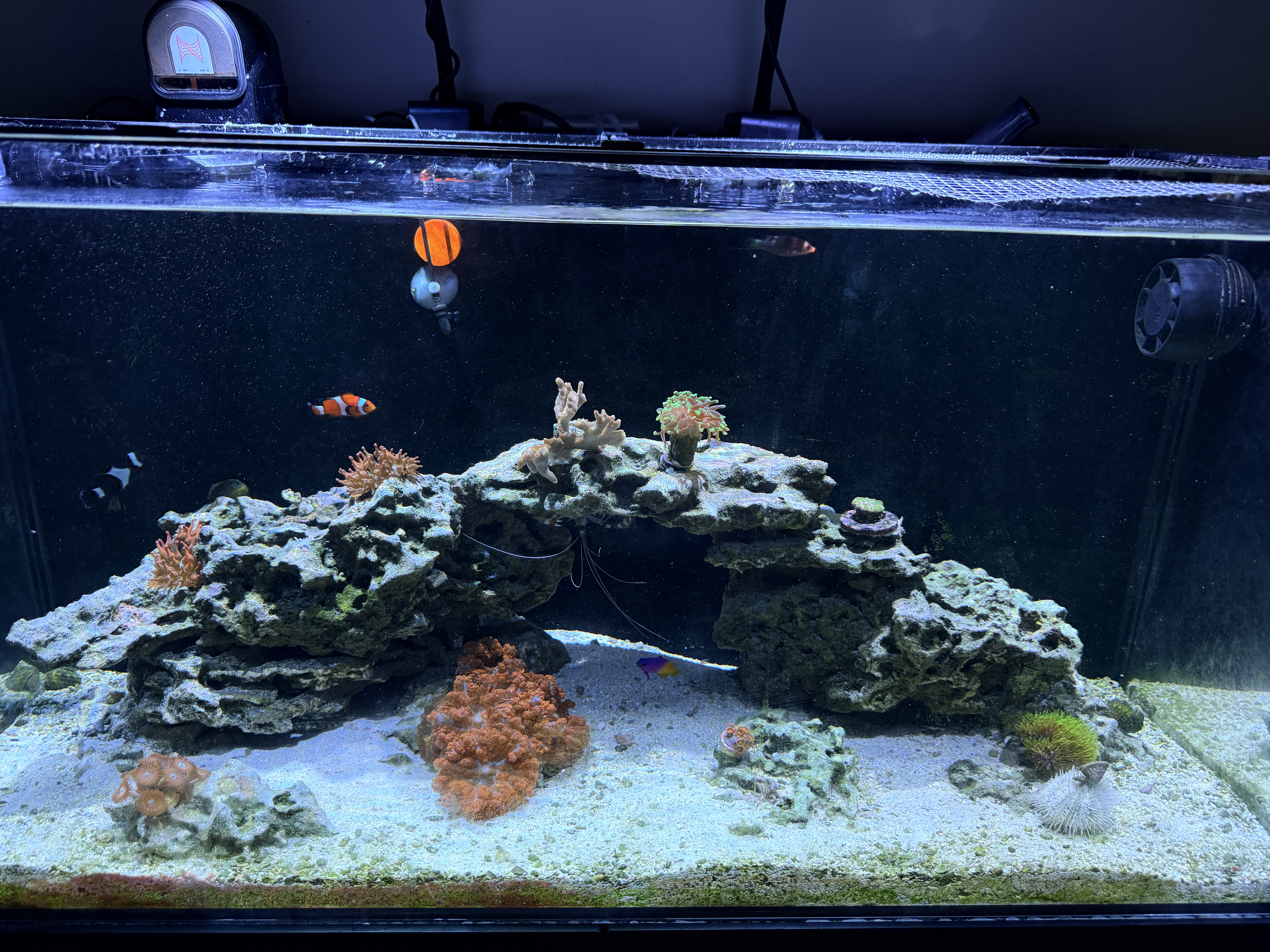 Tank Image