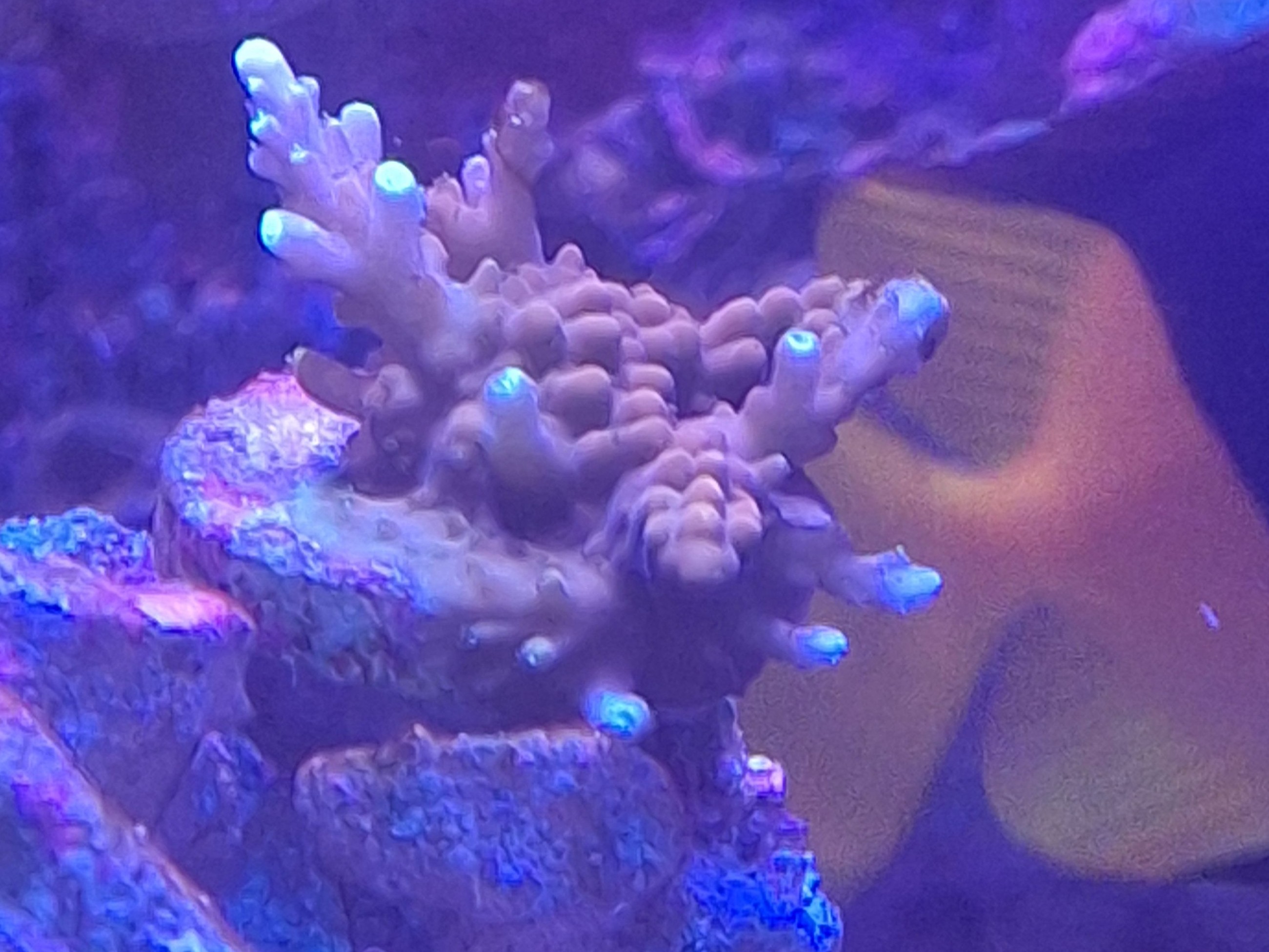 Tank Image