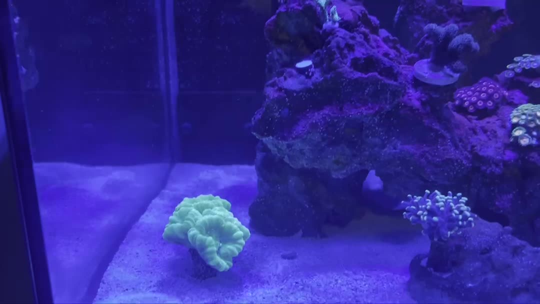 ReefBay post